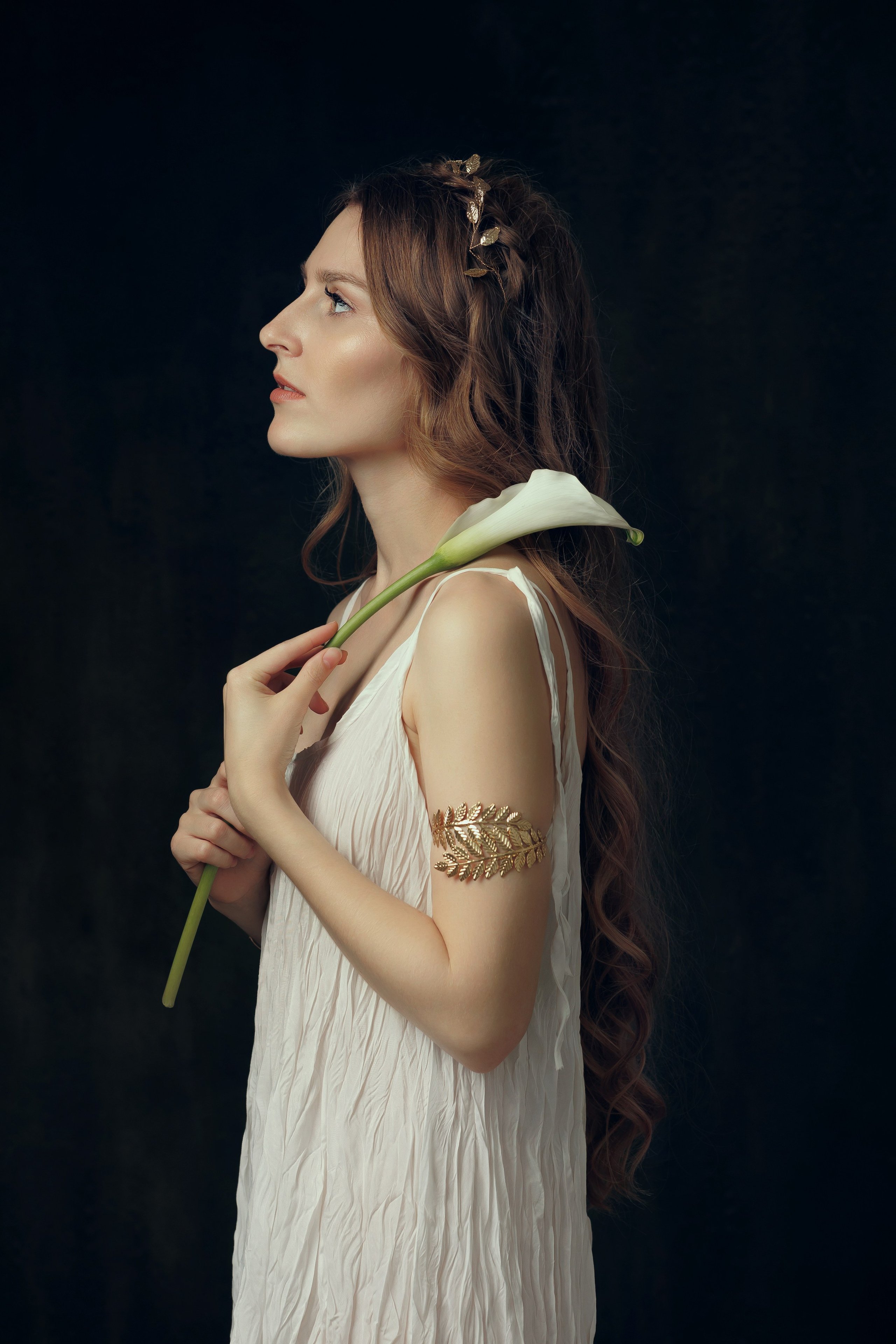 Художественный портрет