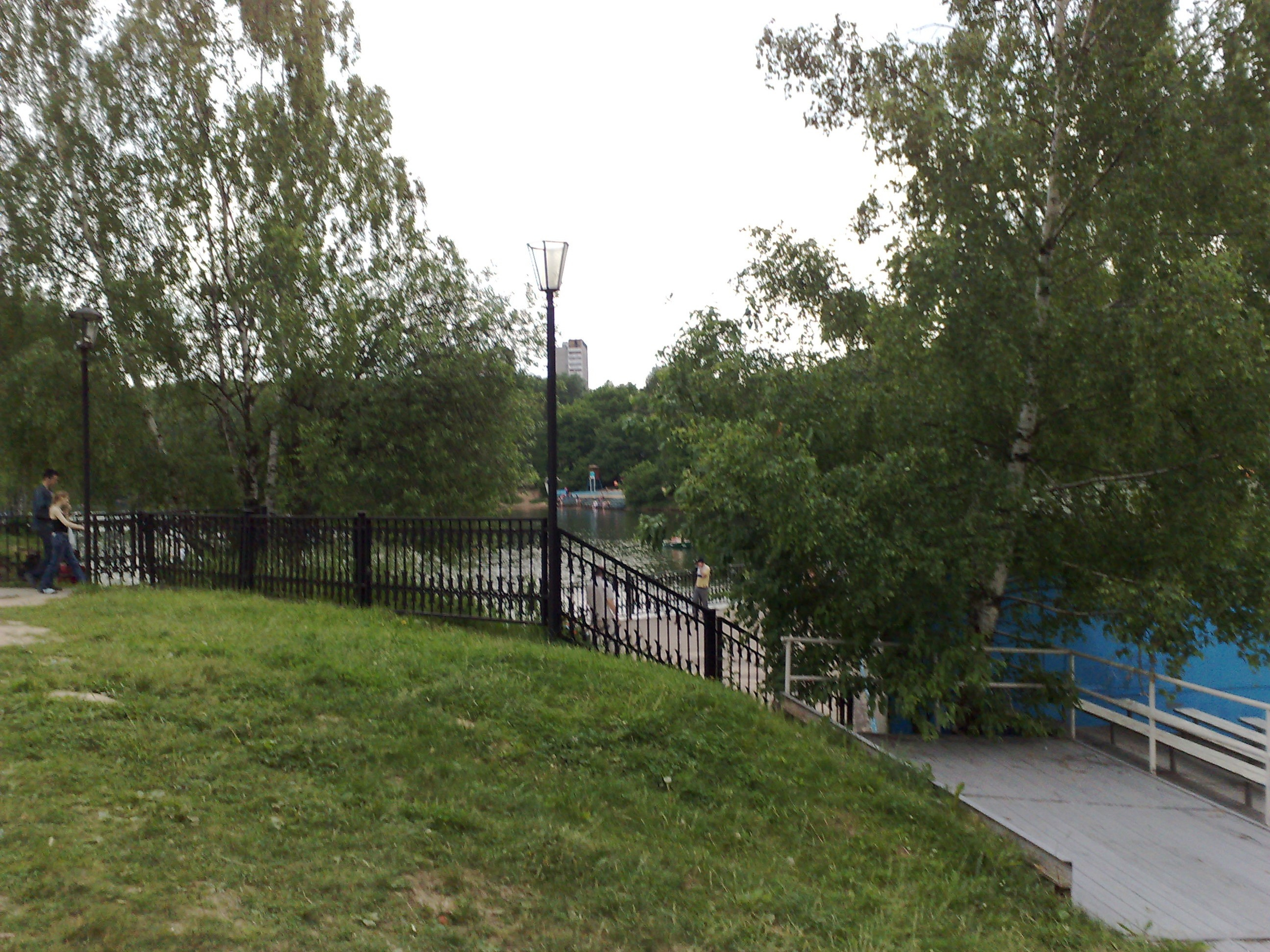 Зося на прогулке. Питомник китайских хохлатых собак Poale Ell: купить щенка в питомнике