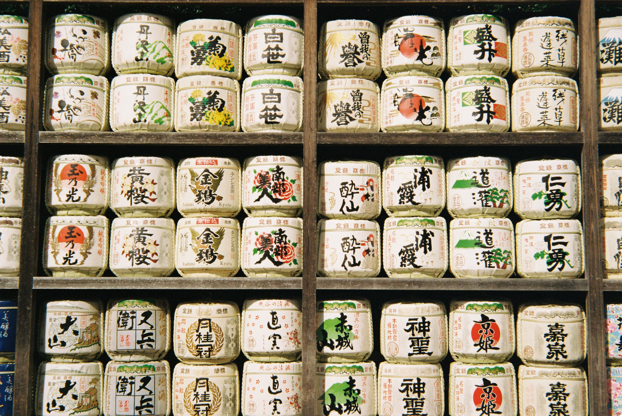 Пленка. Фотограф Алина Диева Москва | Токио