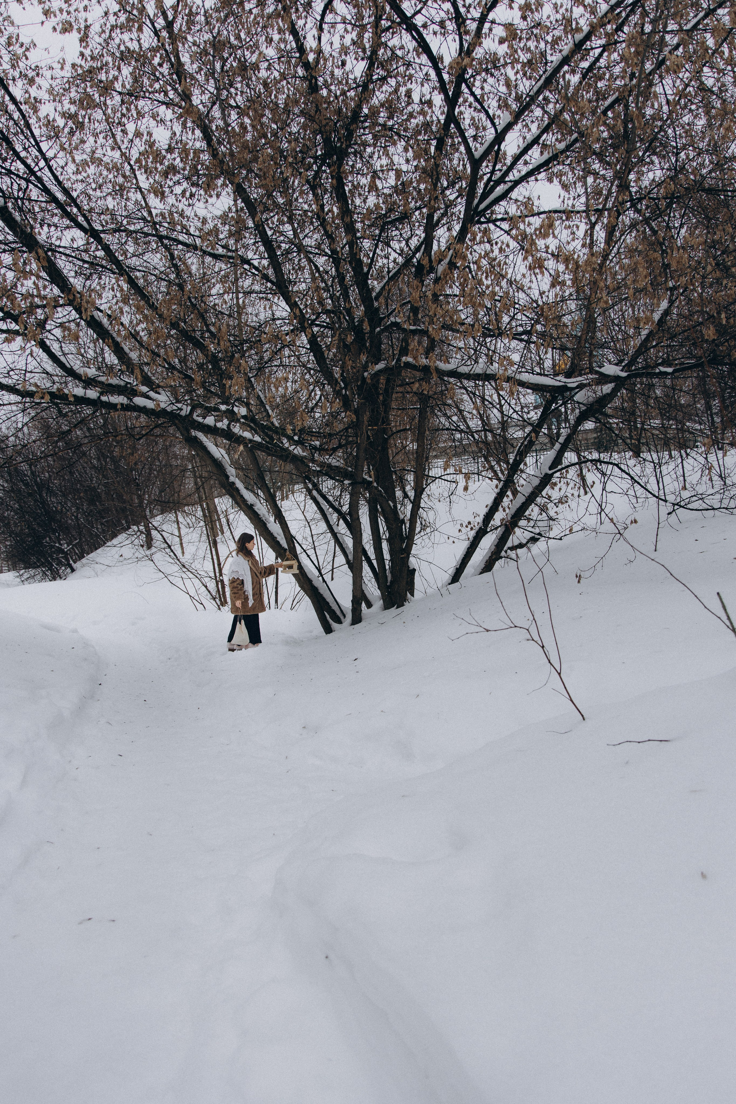 Зимнее очарование. Фотограф lifestylе в Москве Пшеничная Анастасия