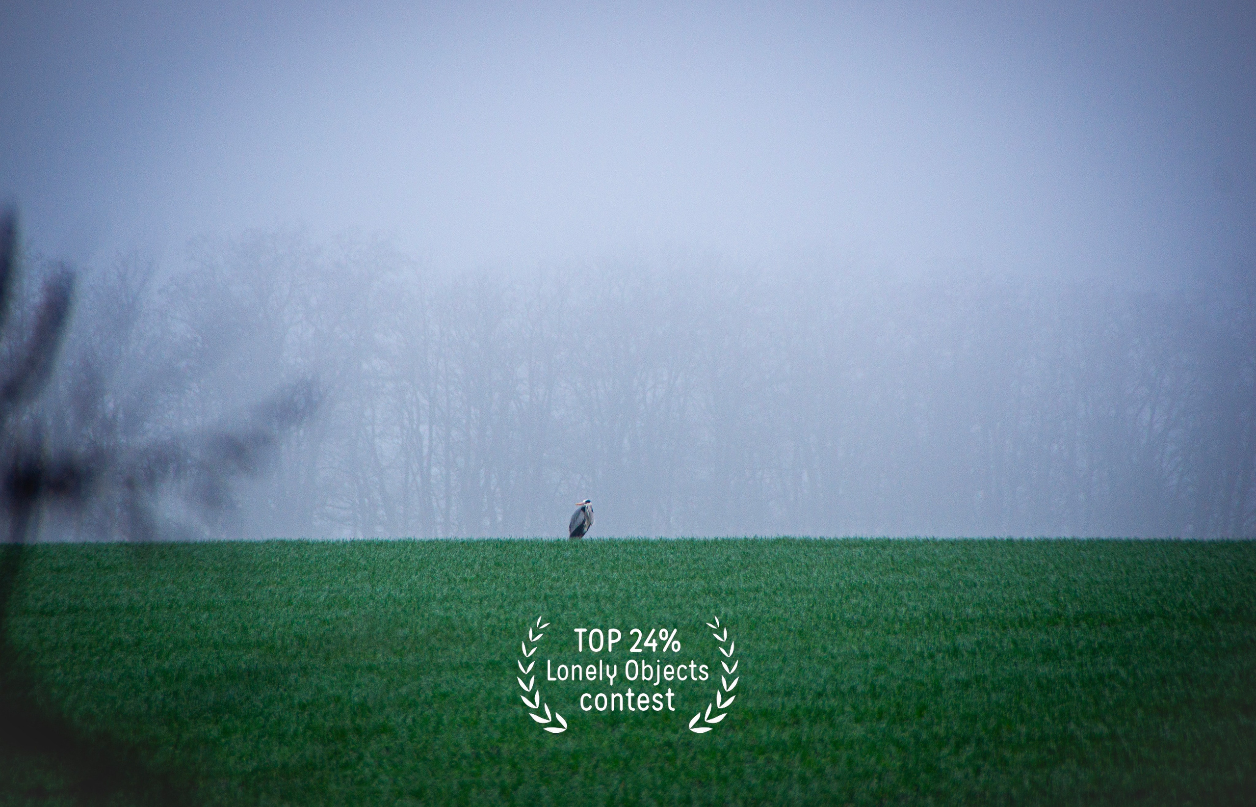 Участие в фотоконкурсах 35AWARDS. #antonfotomaster Фотограф, мастер нейровизуала в Москве Антон Фролов