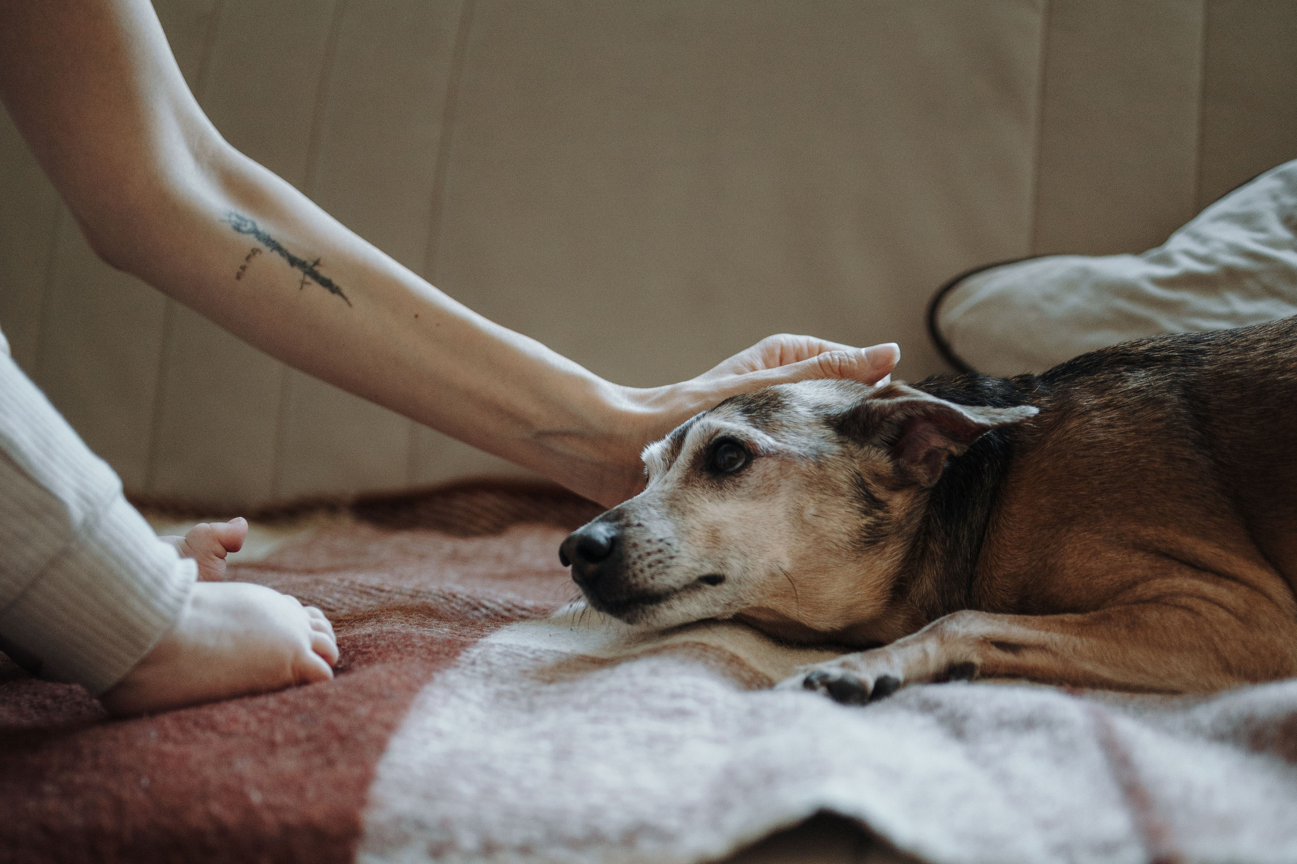 Николас и его семья