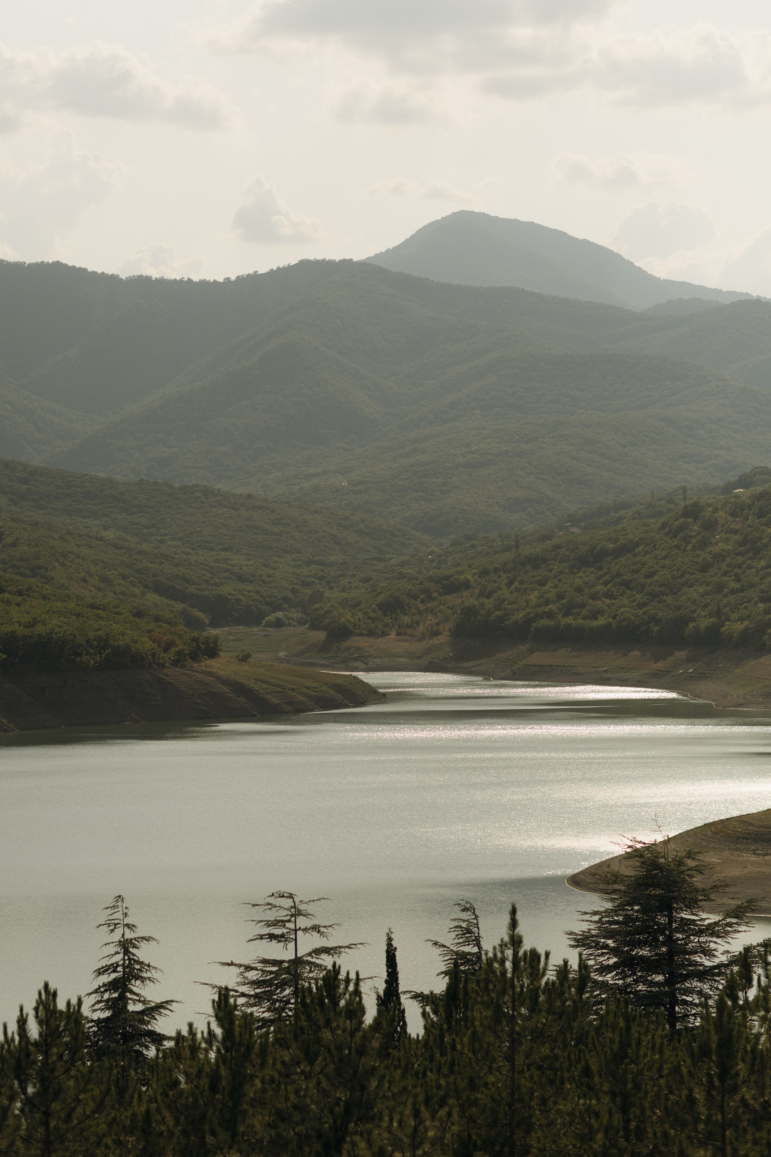 Диана и Никита. Огранизация свадьбы в Крыму