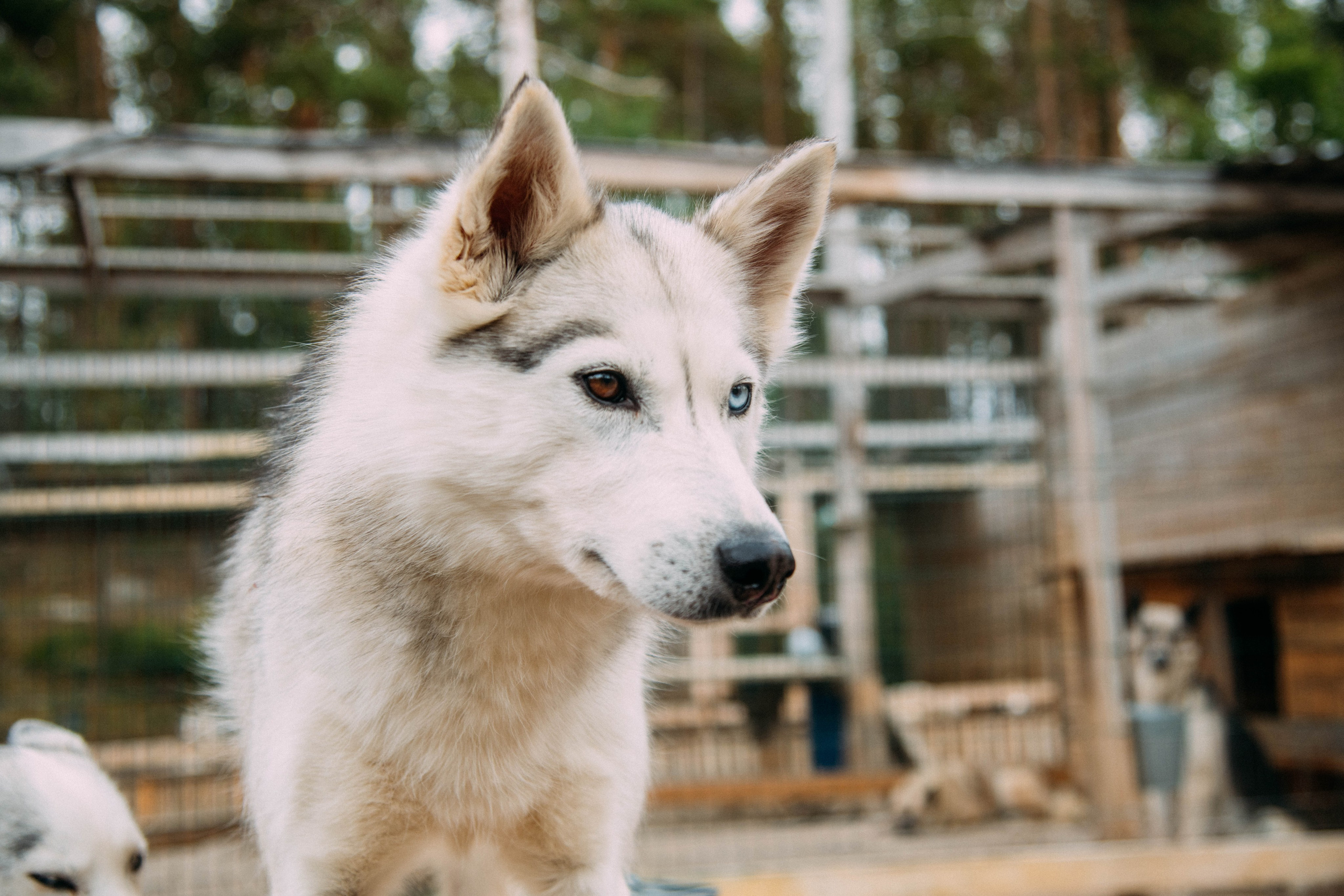 Кольский полуостров. Фотографирую для себя, своей семьи и друзей!