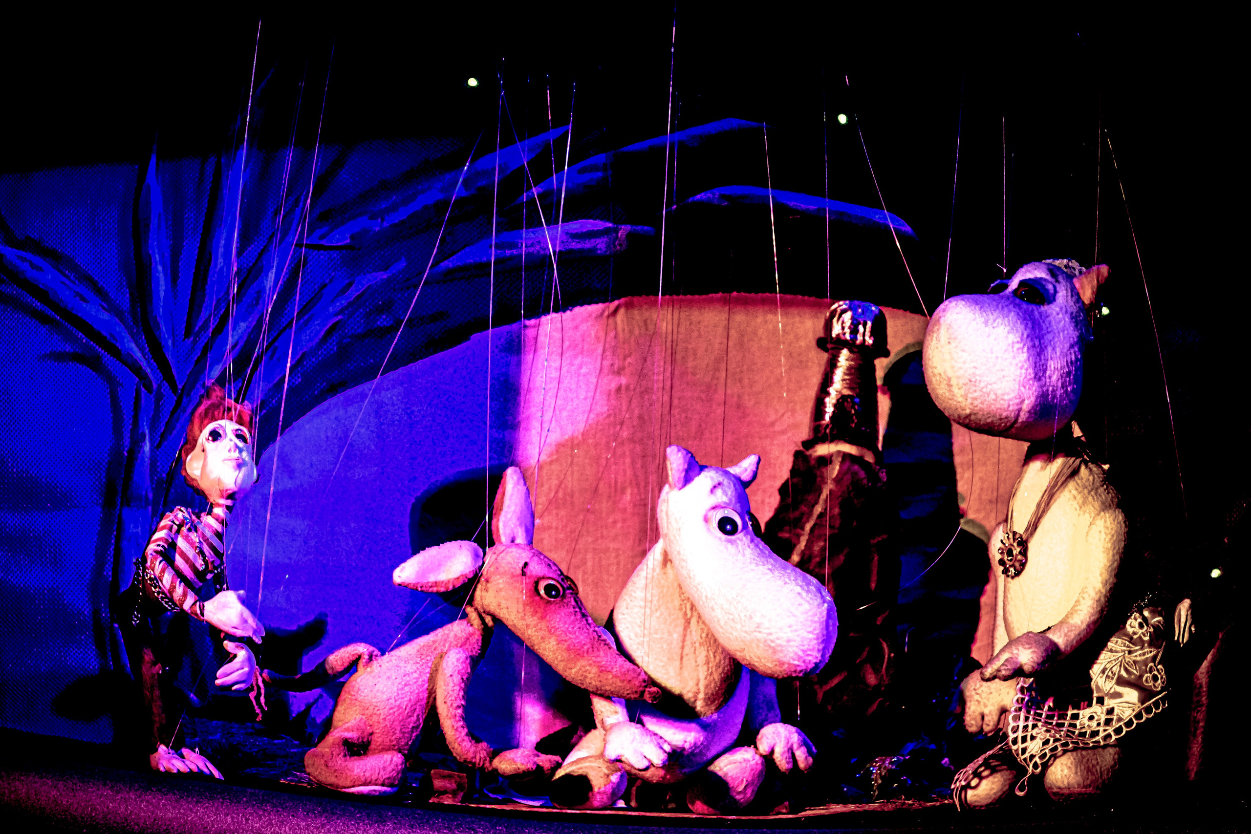 «Муми тролли и большое наводнение». Фотограф в Сочи Юрий Шептаев