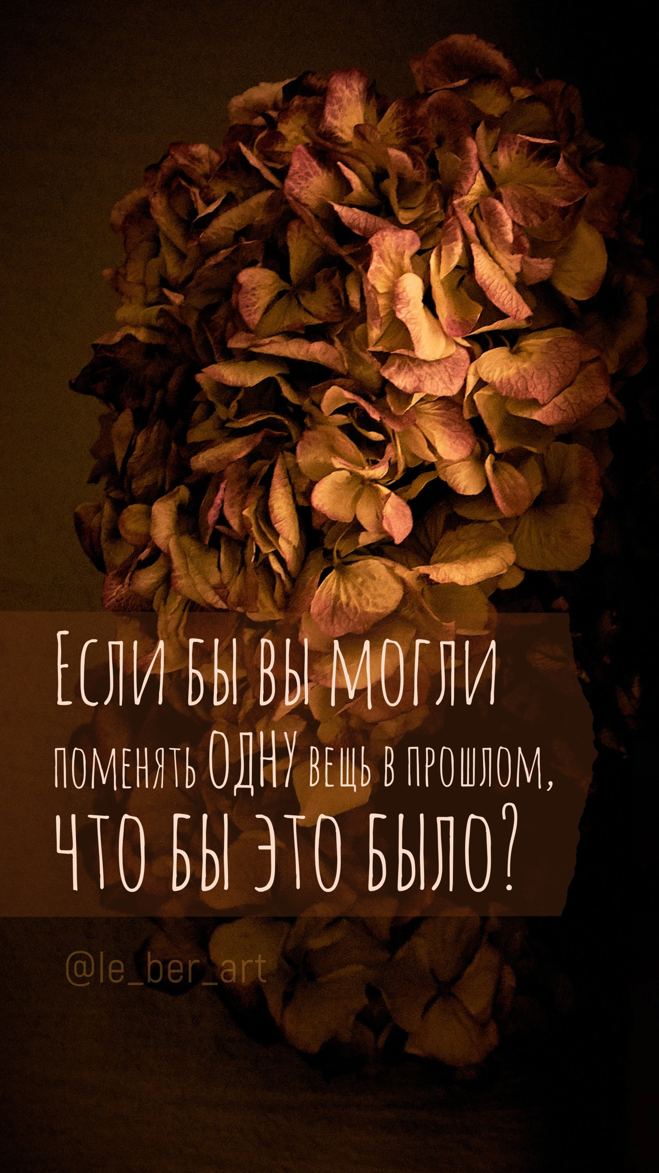 Заставки на телефон. Елена Берсенева, фотограф