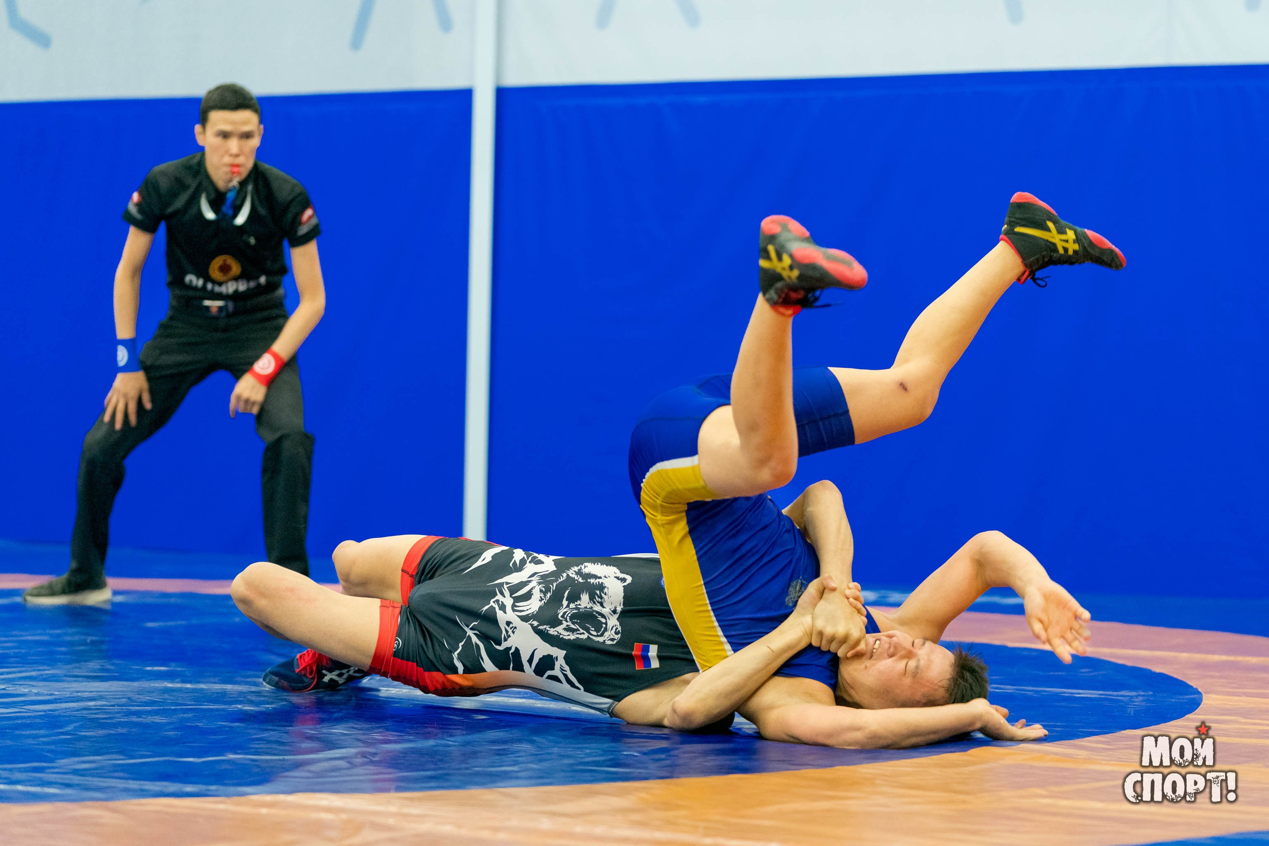 Чемпионат России среди студентов по спортивной борьбе 2024. ГРБ. Студия «Мой Спорт!» — все о спорте в Якутии