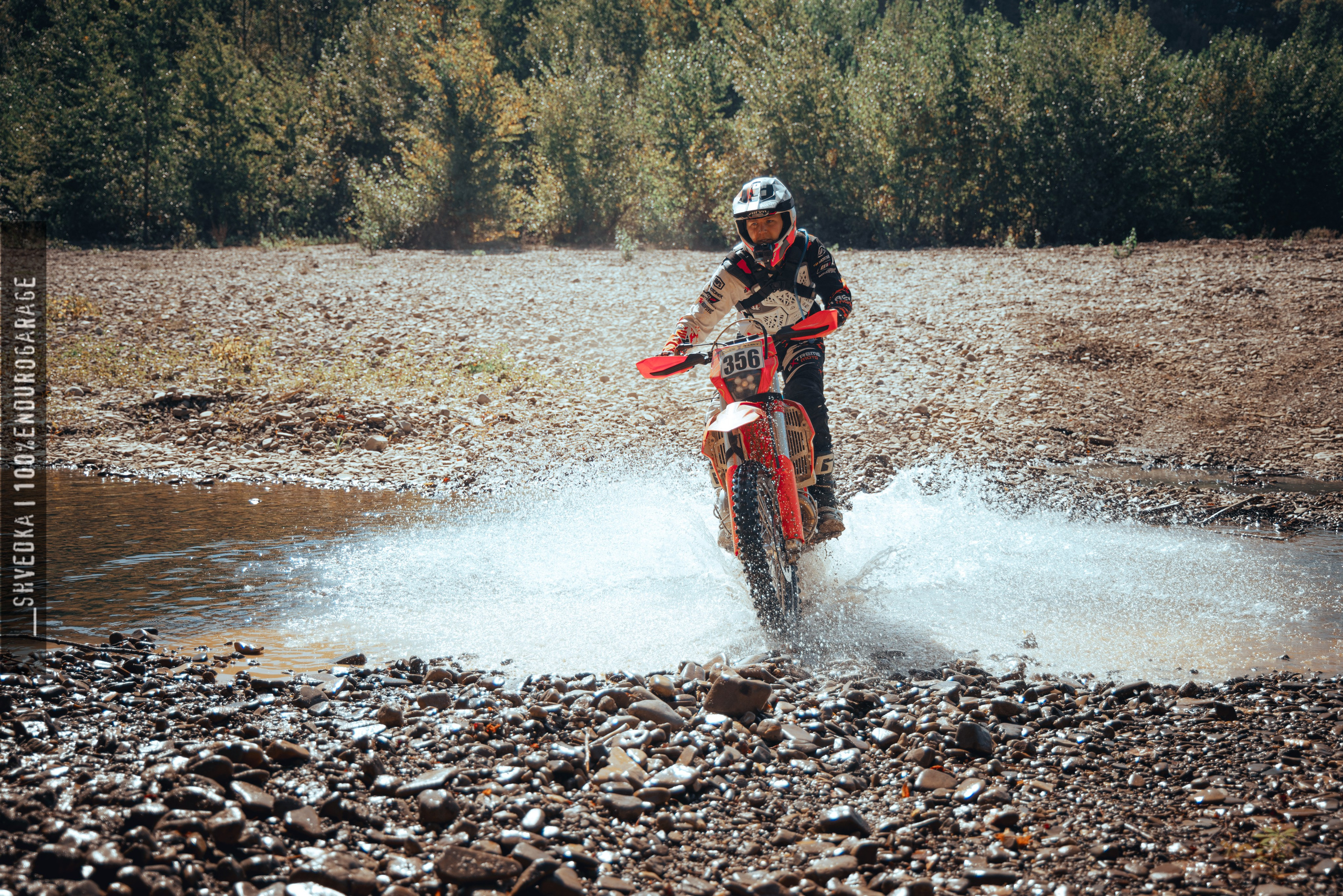 1 лесной день. Ваш экстрим фотограф Кудрева Яна
