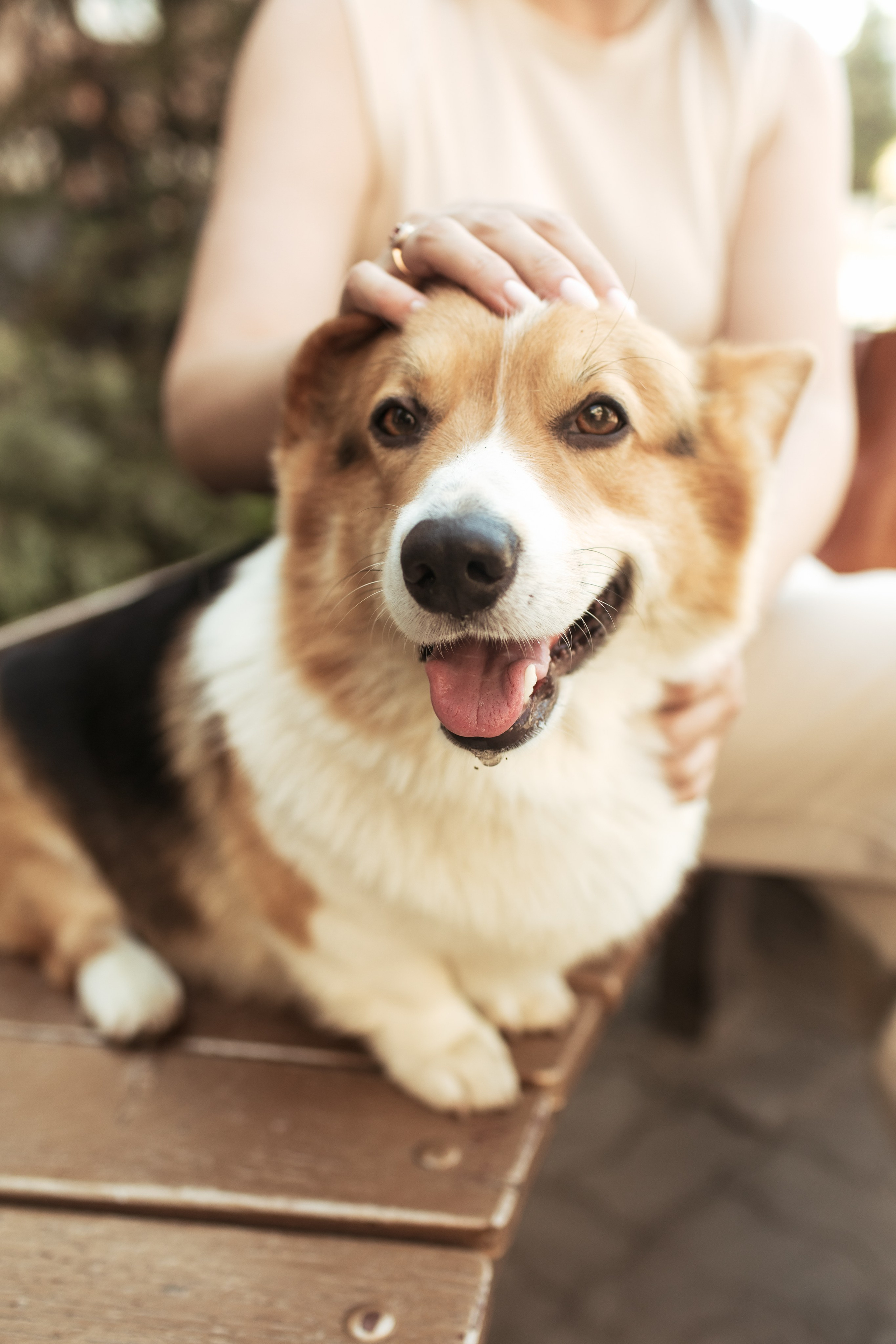 Елена. Портретный и свадебный фотограф в Белгороде Глухова Кристина