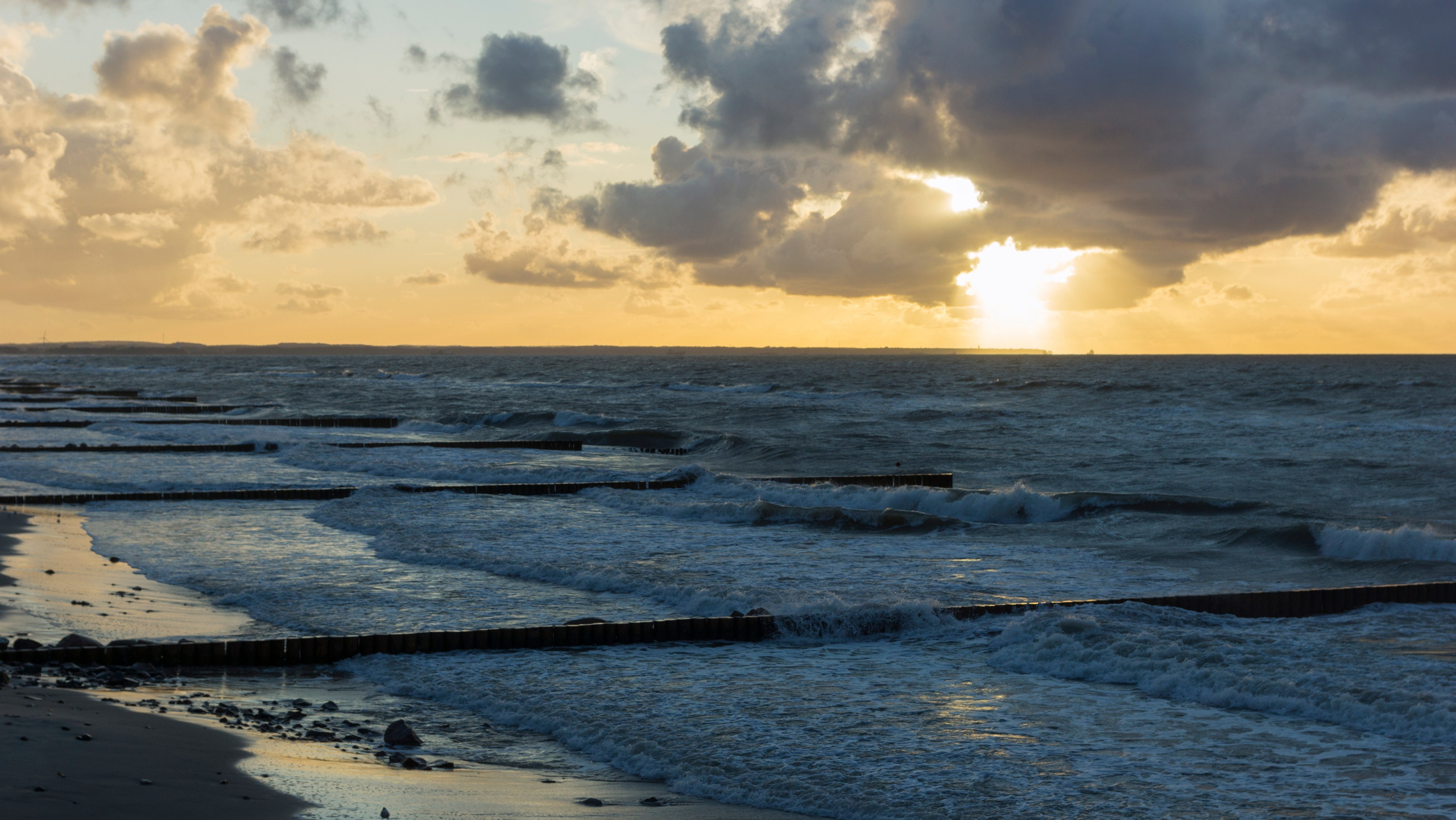 Куршская коса. Фотограф-путешественник Самойлов Максим «Sly Fox»