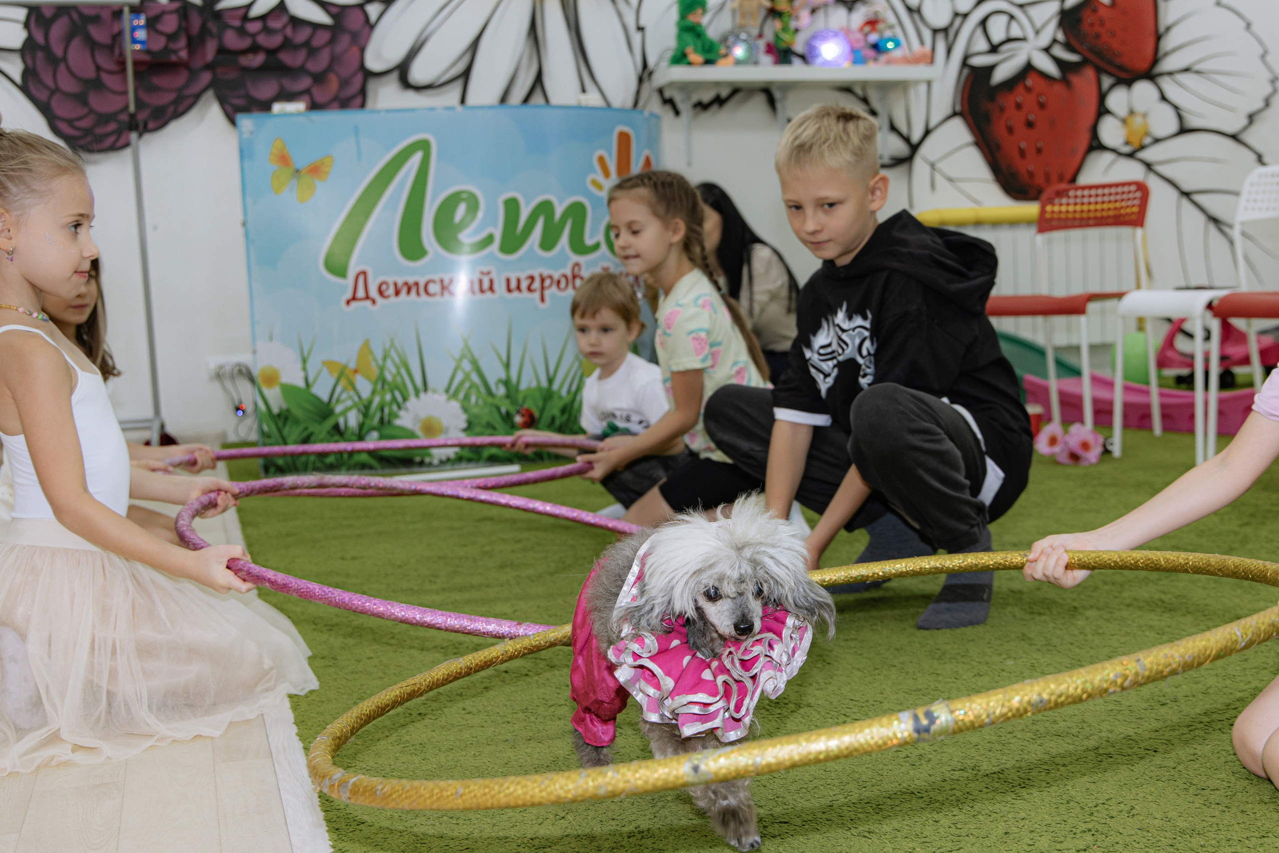 Марк 2 года. Aleksantis