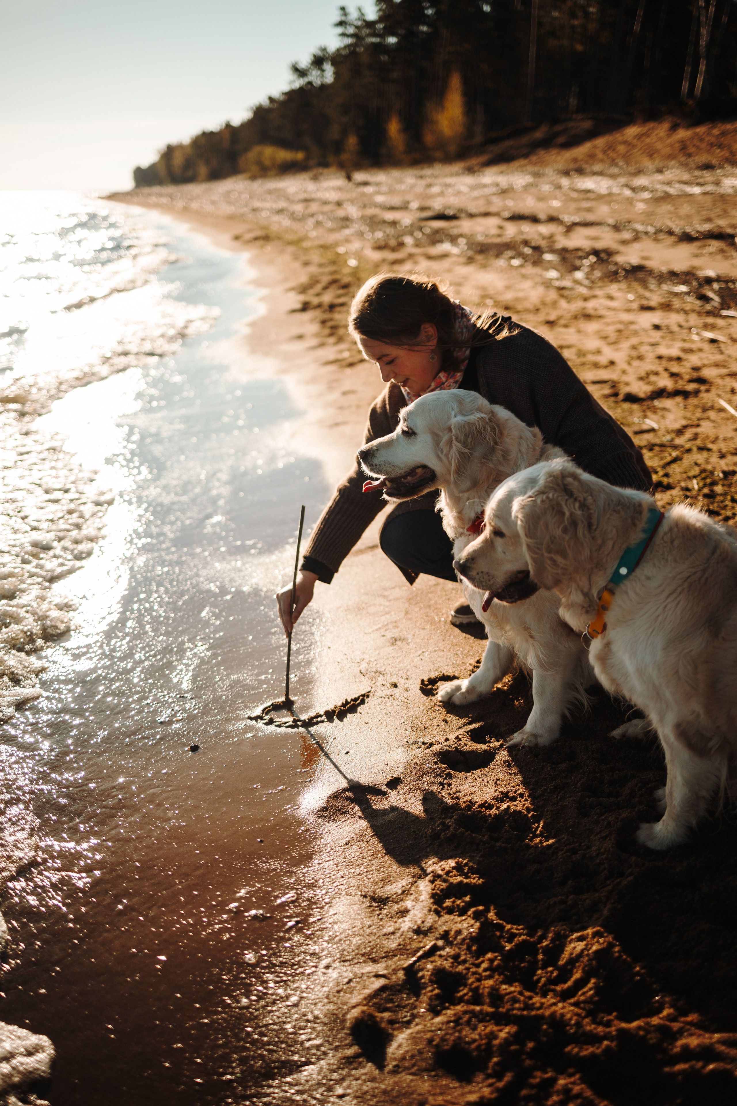 Катя и ее девочки. Фотограф — Анималист | Санкт-Петербург