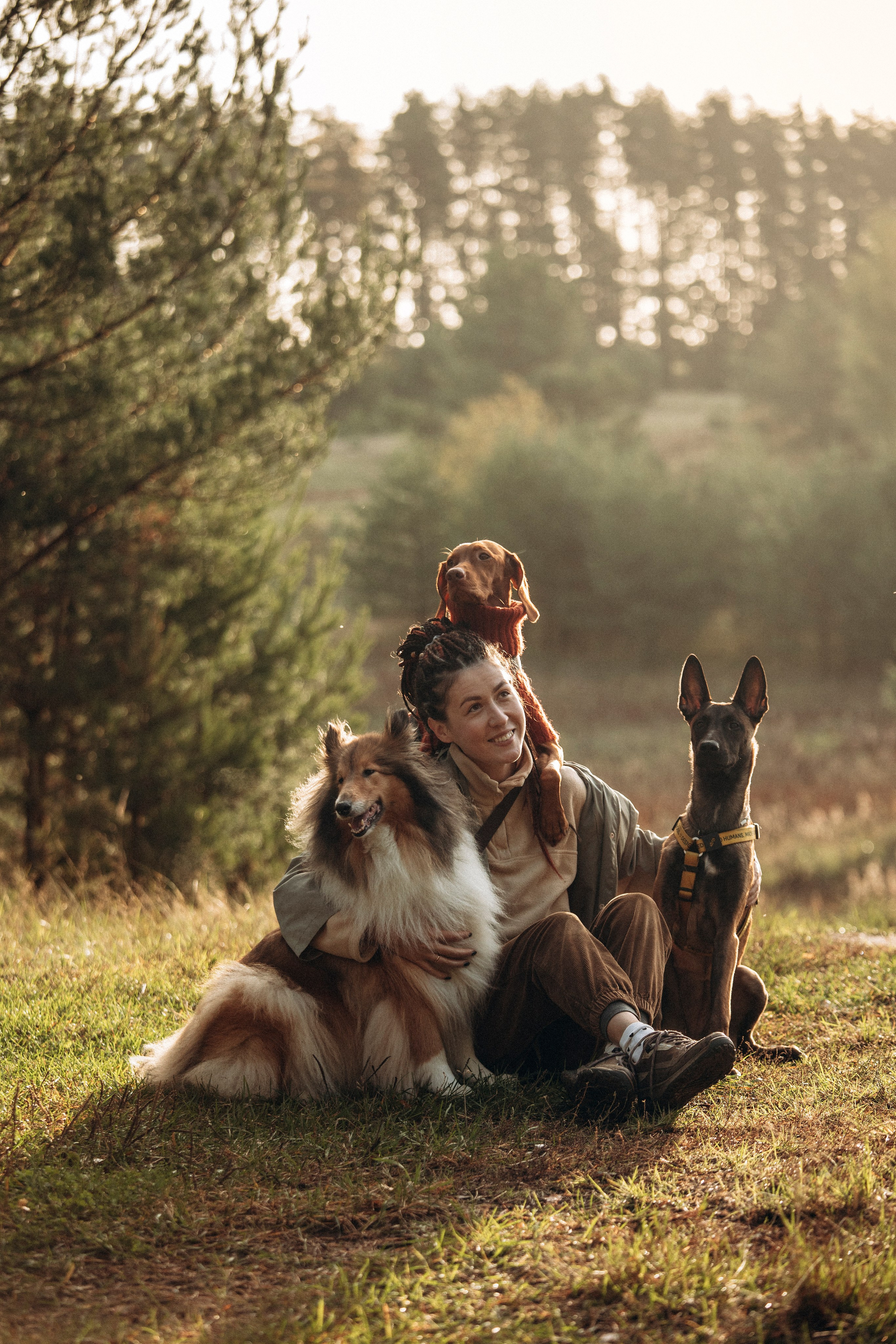 Трисс, Эста, Яся и их семья. Фотограф — Анималист | Санкт-Петербург