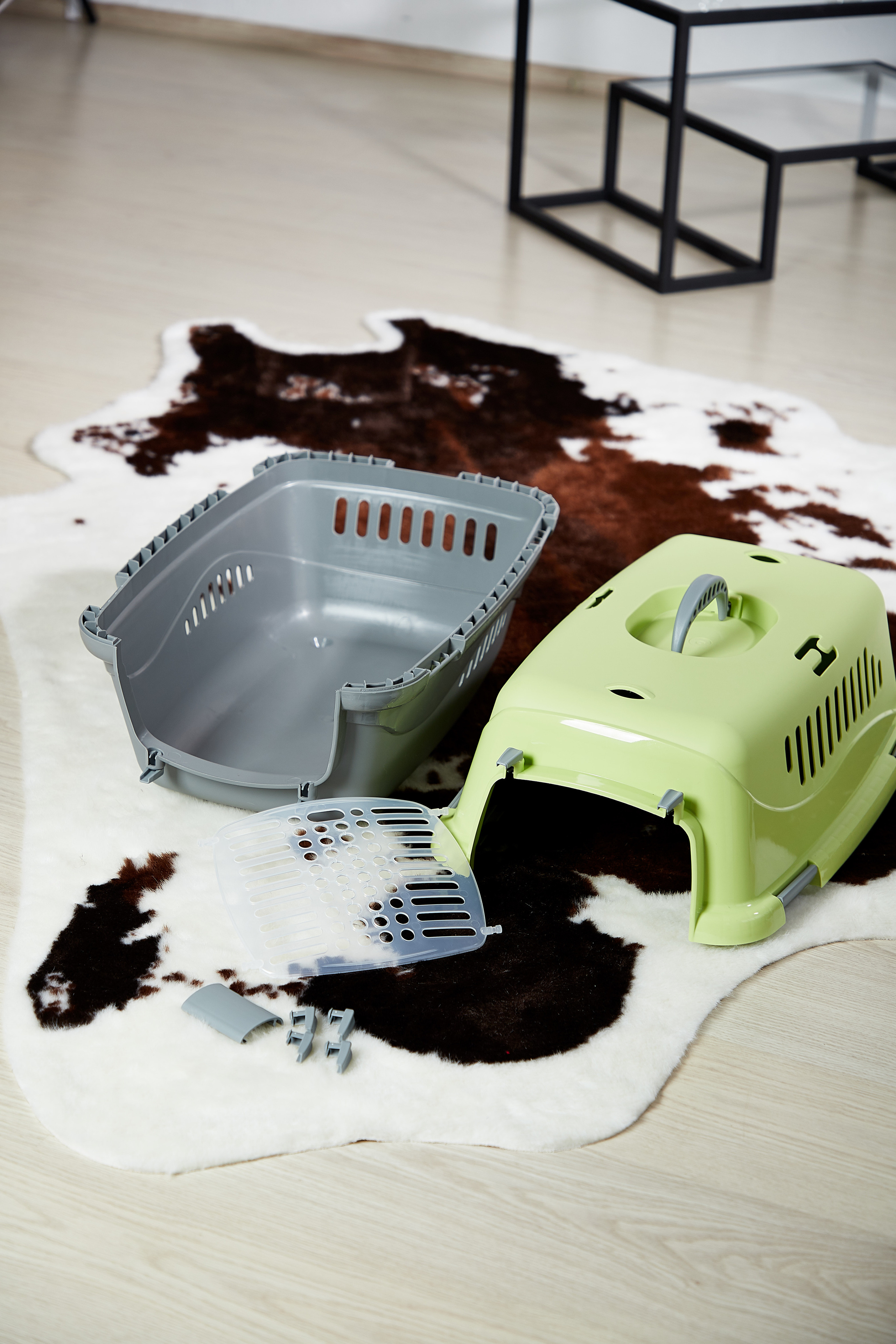 Переноска для кошки. Снежана Чернега фотограф