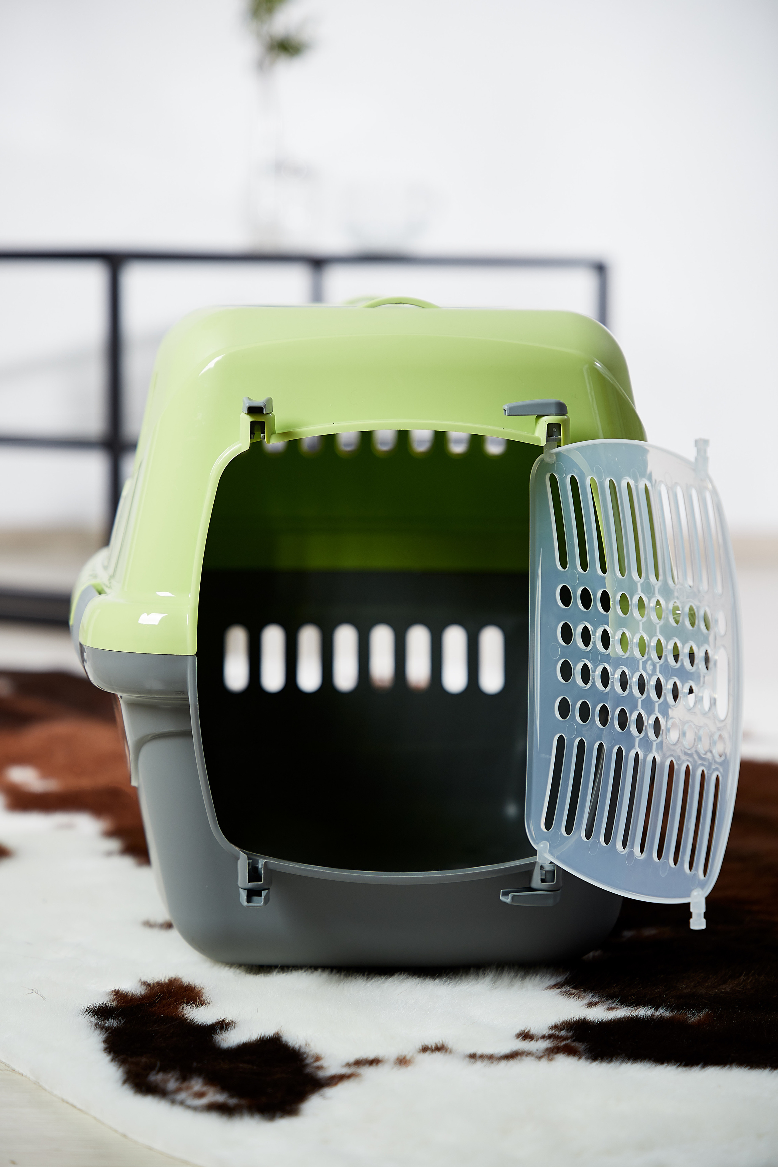 Переноска для кошки. Снежана Чернега фотограф