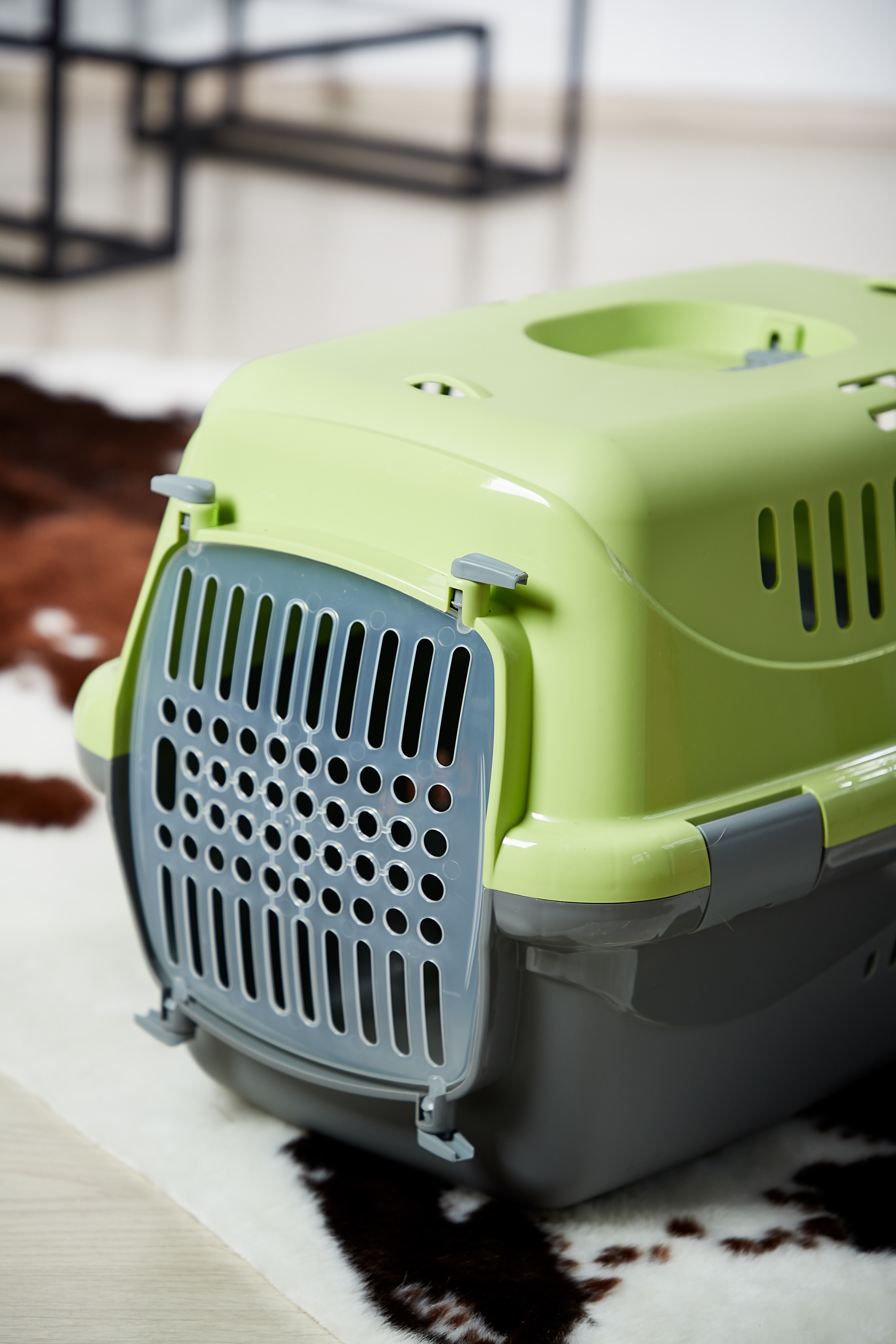 Переноска для кошки. Снежана Чернега фотограф