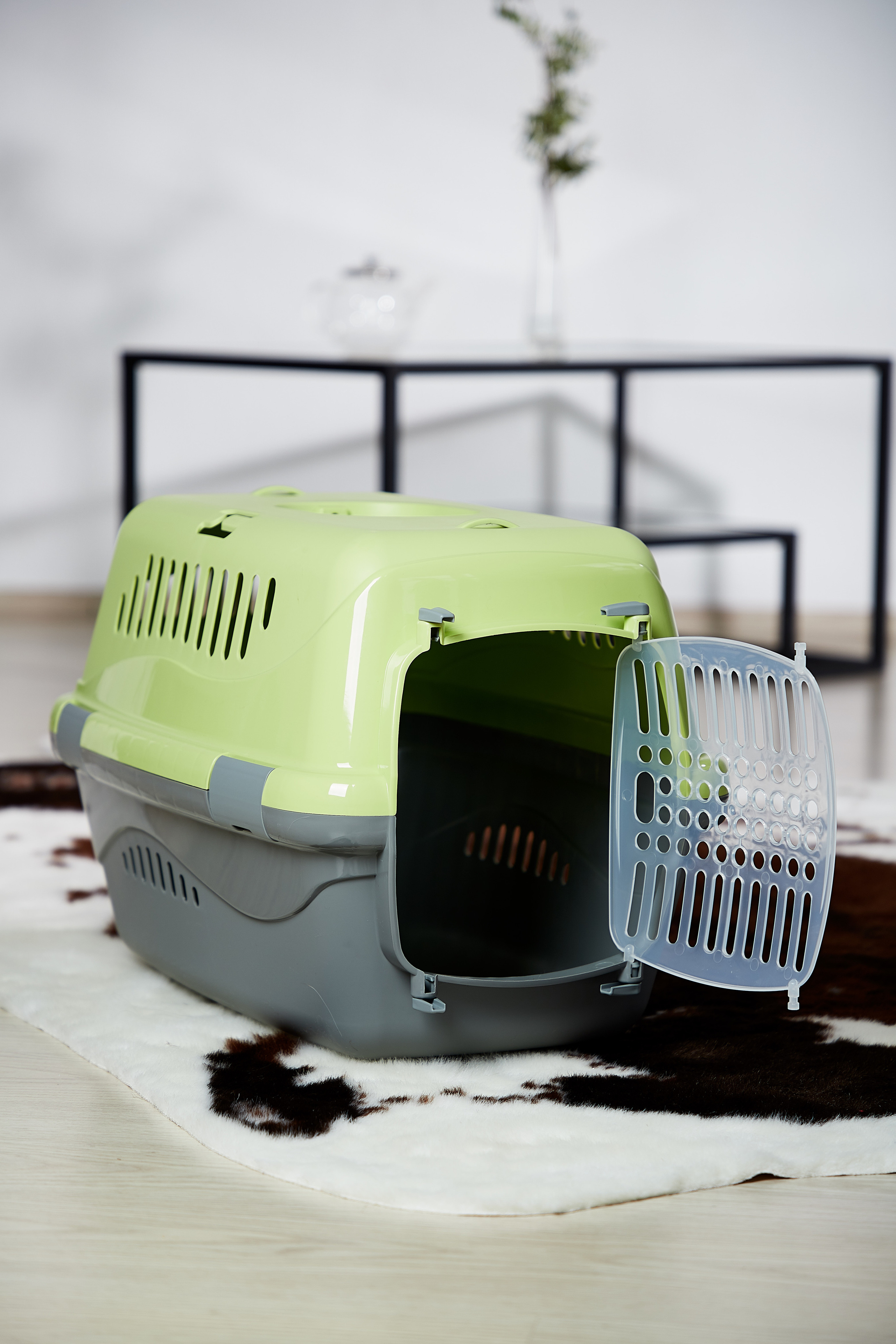 Переноска для кошки. Снежана Чернега фотограф