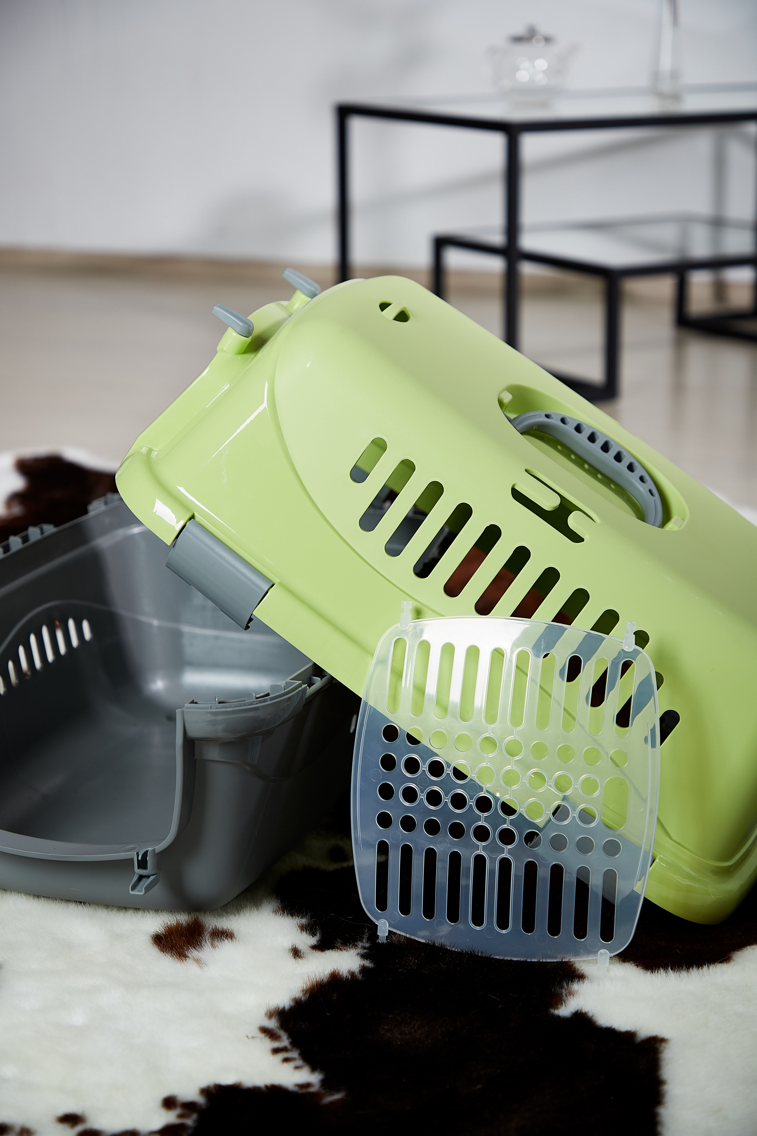 Переноска для кошки. Снежана Чернега фотограф