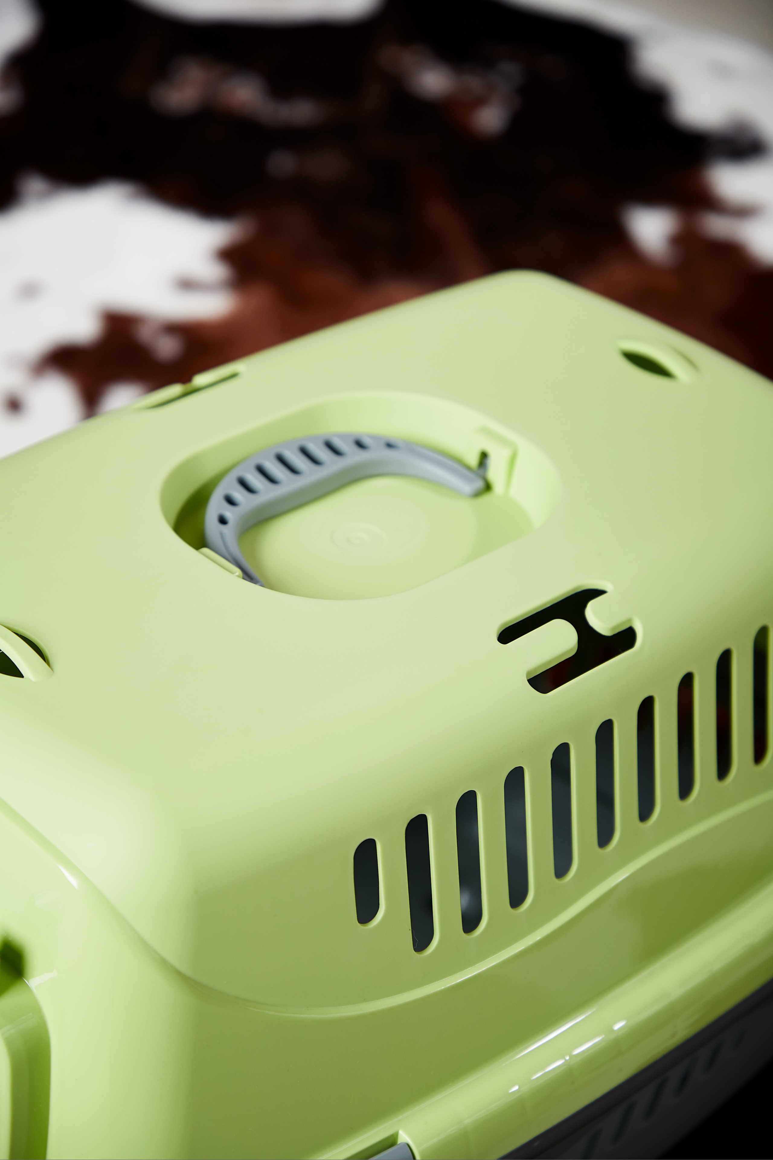 Переноска для кошки. Снежана Чернега фотограф