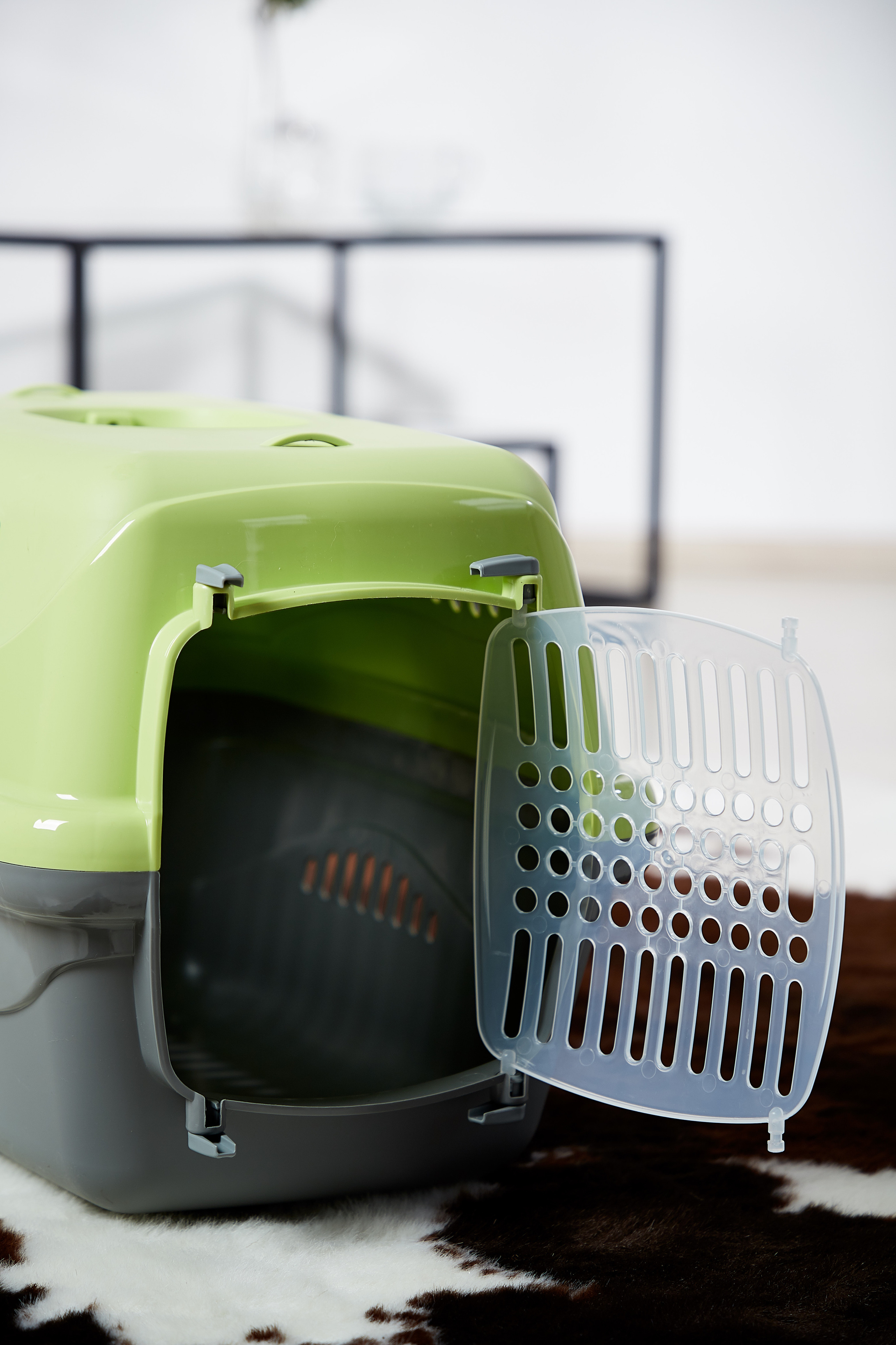 Переноска для кошки. Снежана Чернега фотограф