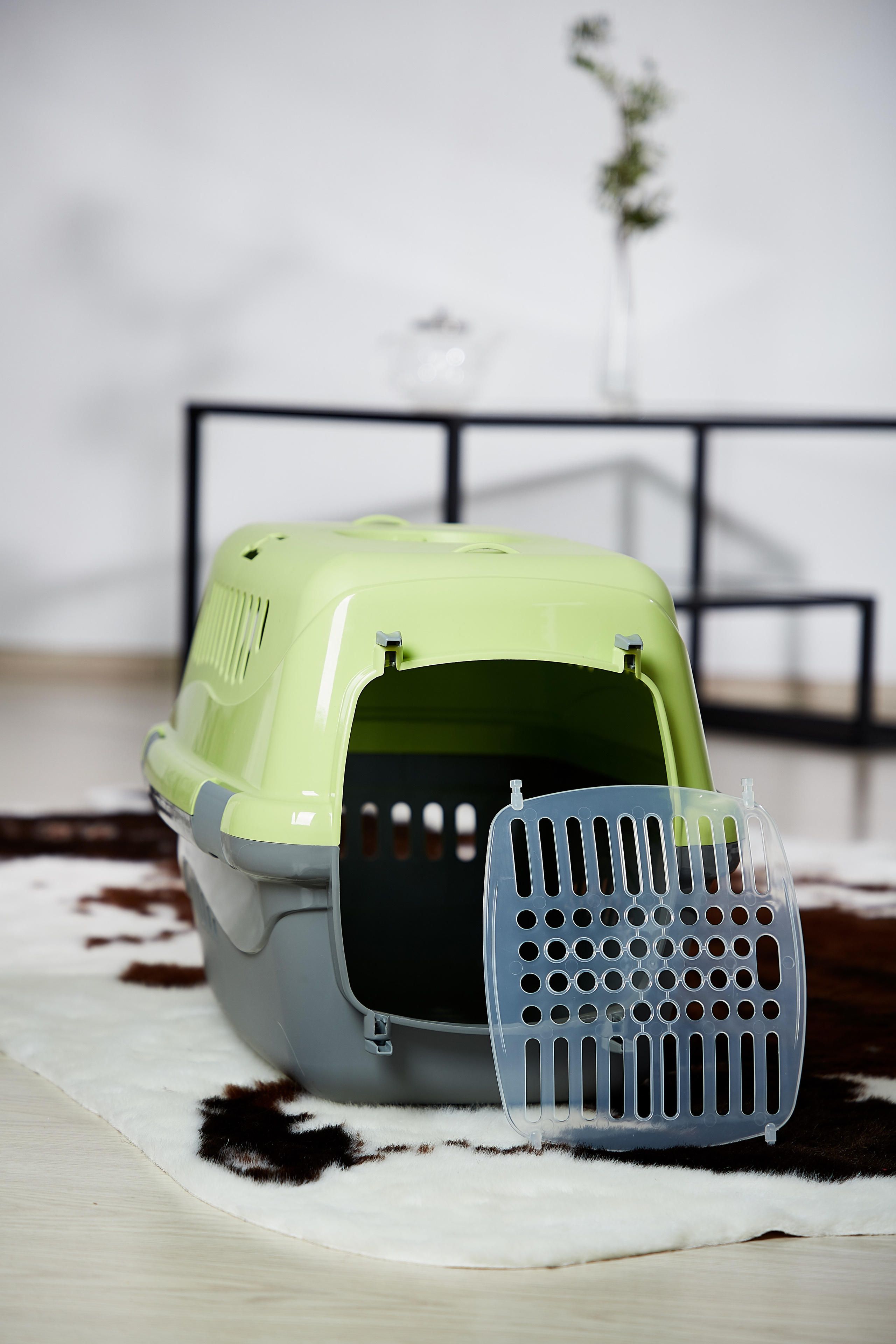 Переноска для кошки. Снежана Чернега фотограф