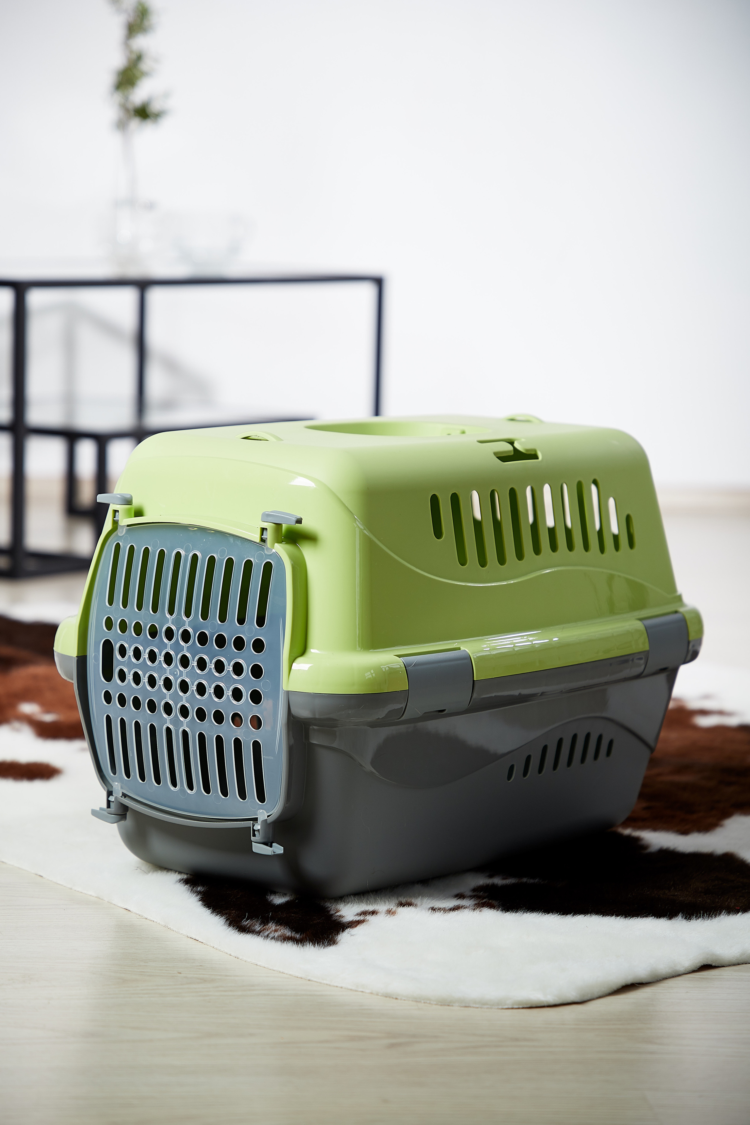 Переноска для кошки. Снежана Чернега фотограф