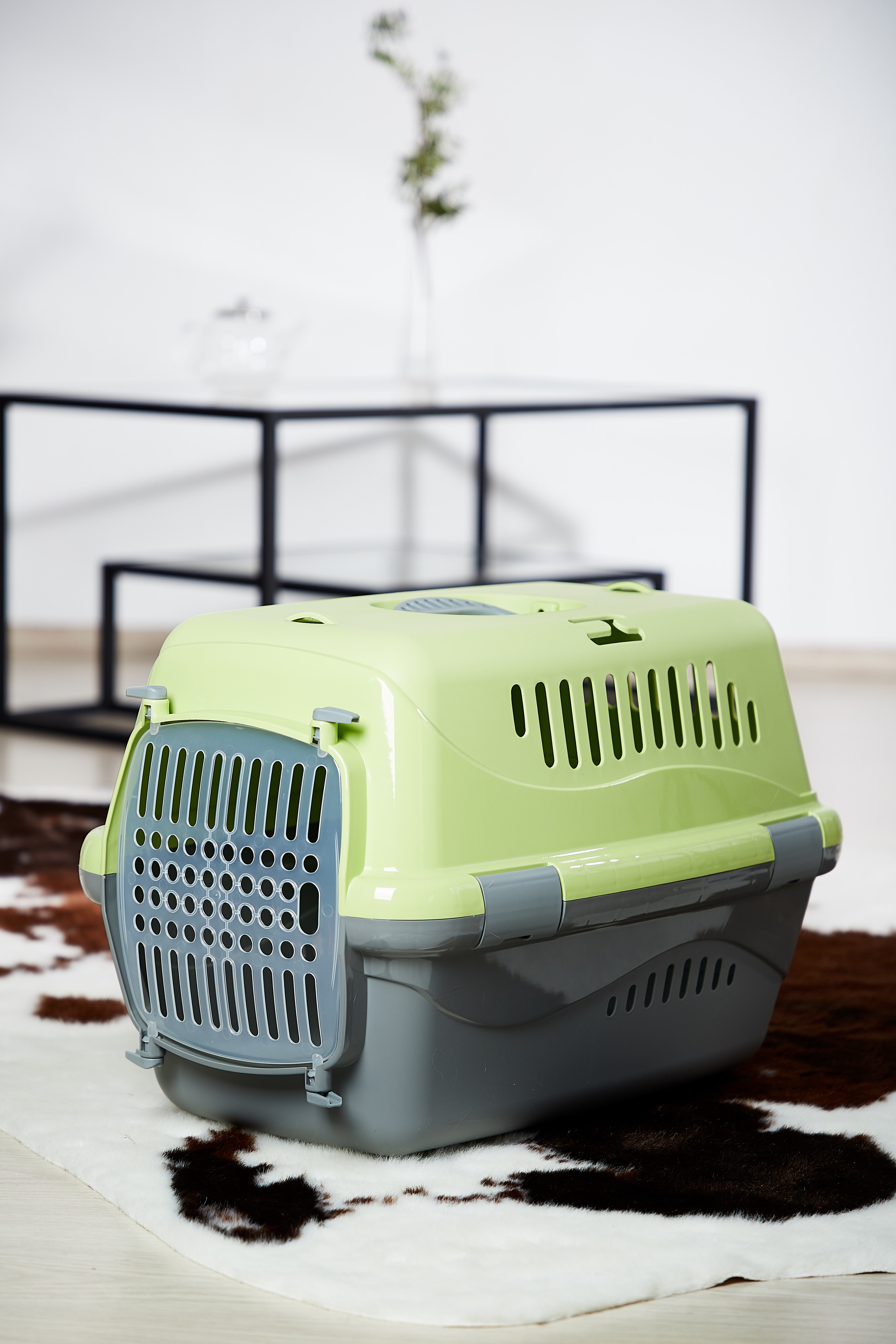 Переноска для кошки. Снежана Чернега фотограф