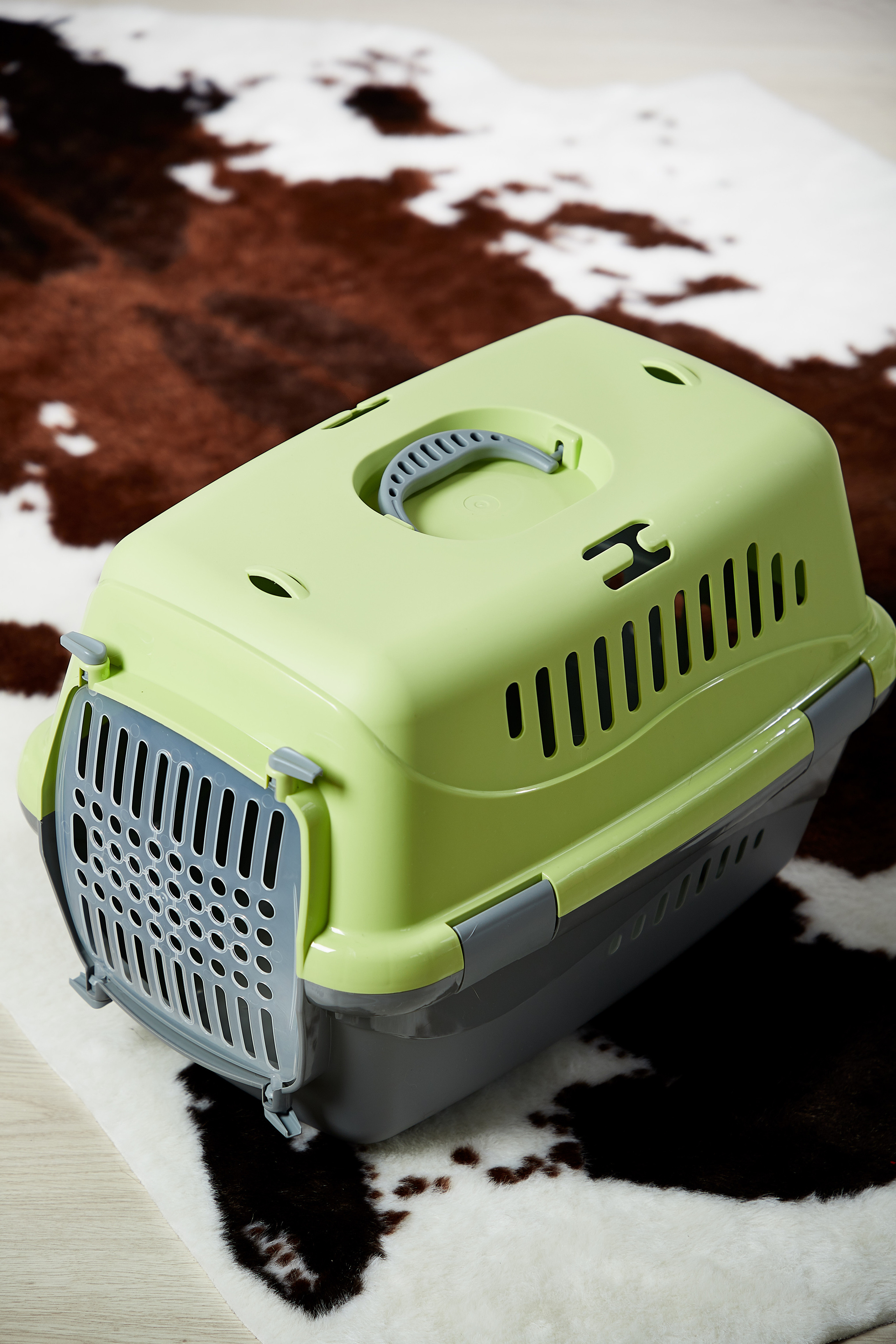 Переноска для кошки. Снежана Чернега фотограф