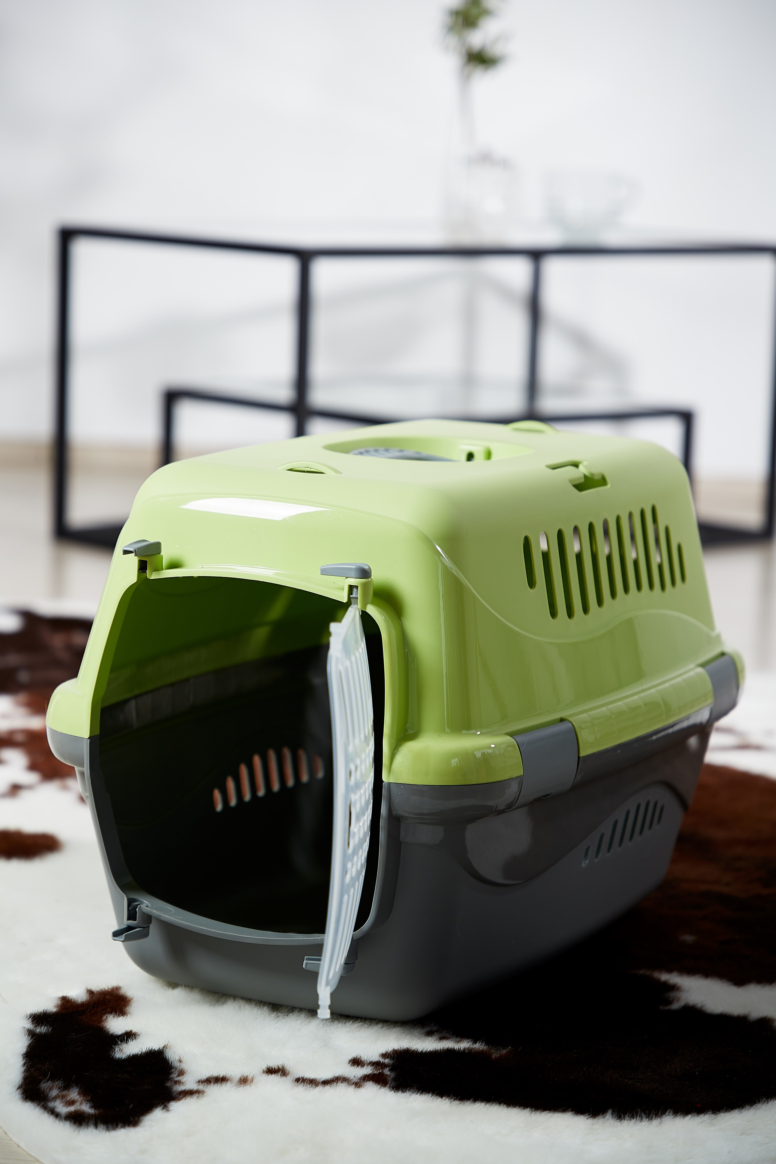 Переноска для кошки. Снежана Чернега фотограф