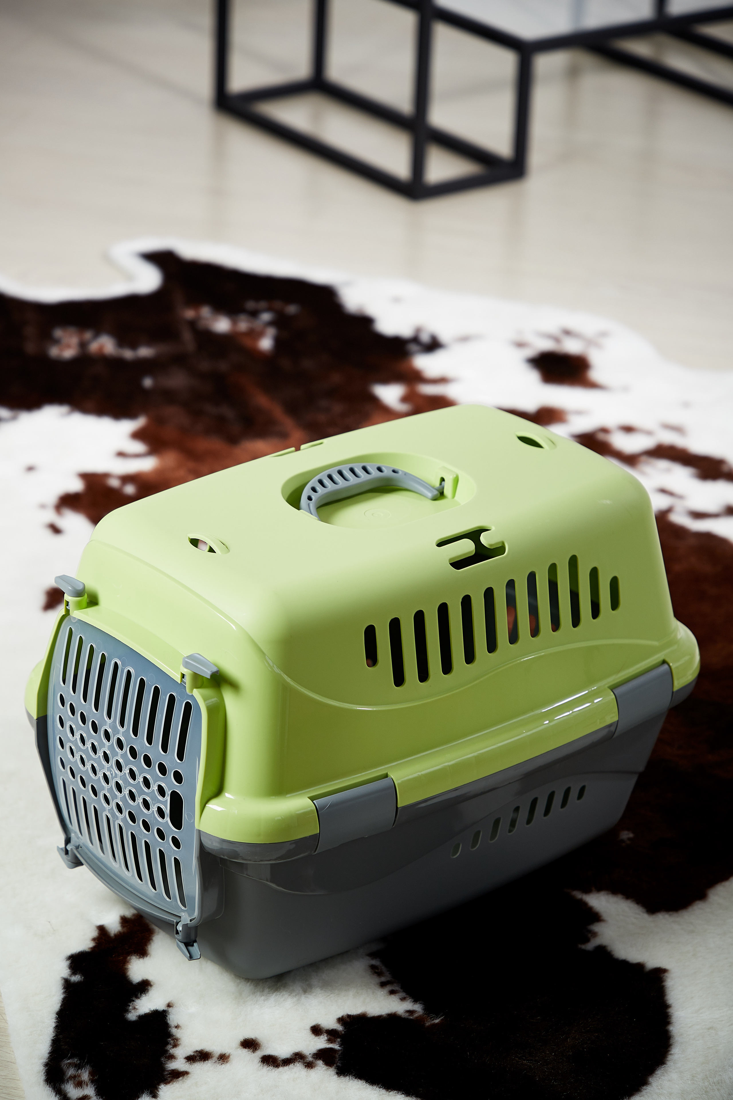 Переноска для кошки. Снежана Чернега фотограф