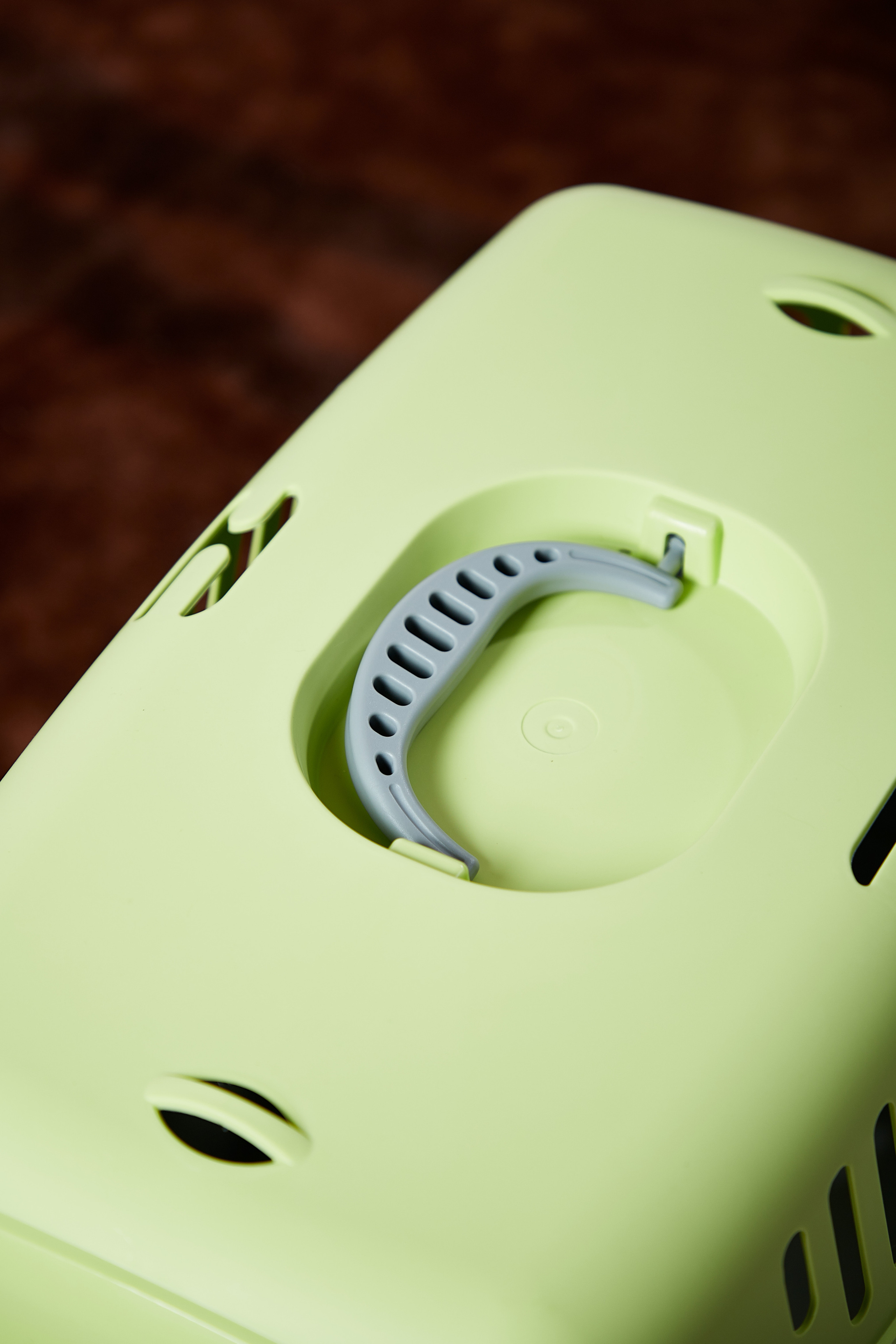 Переноска для кошки. Снежана Чернега фотограф