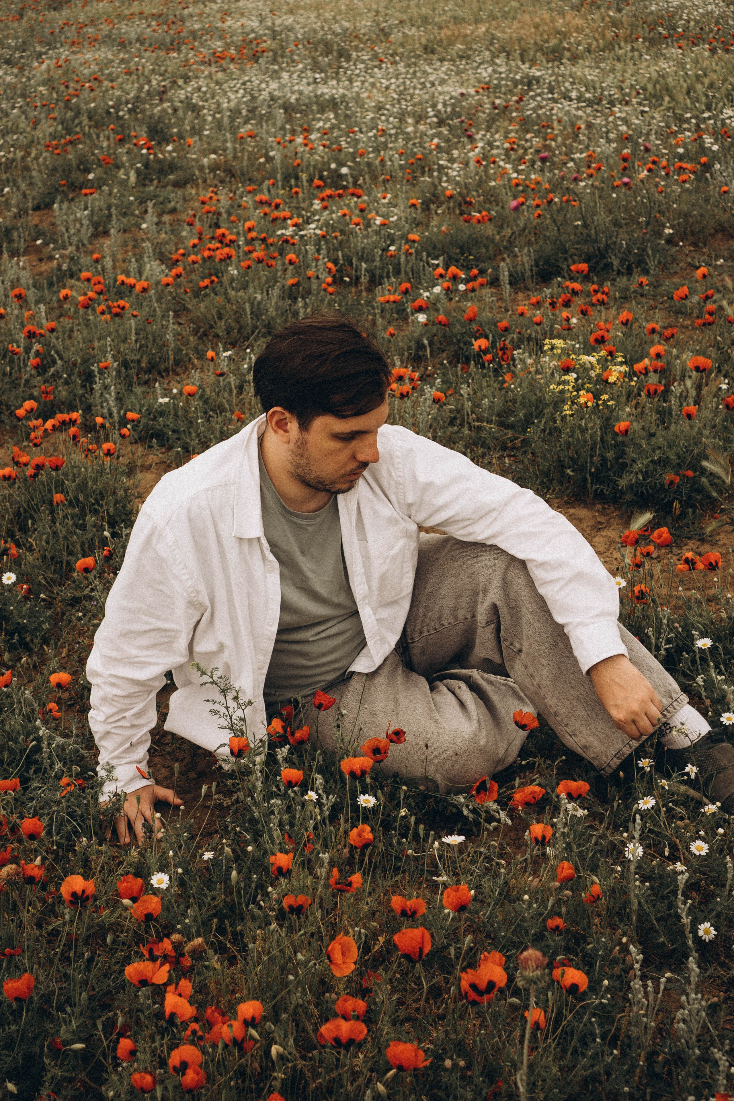 Маки. Профессиональный фотограф, Санкт-Петербург — Виктория Богомолова