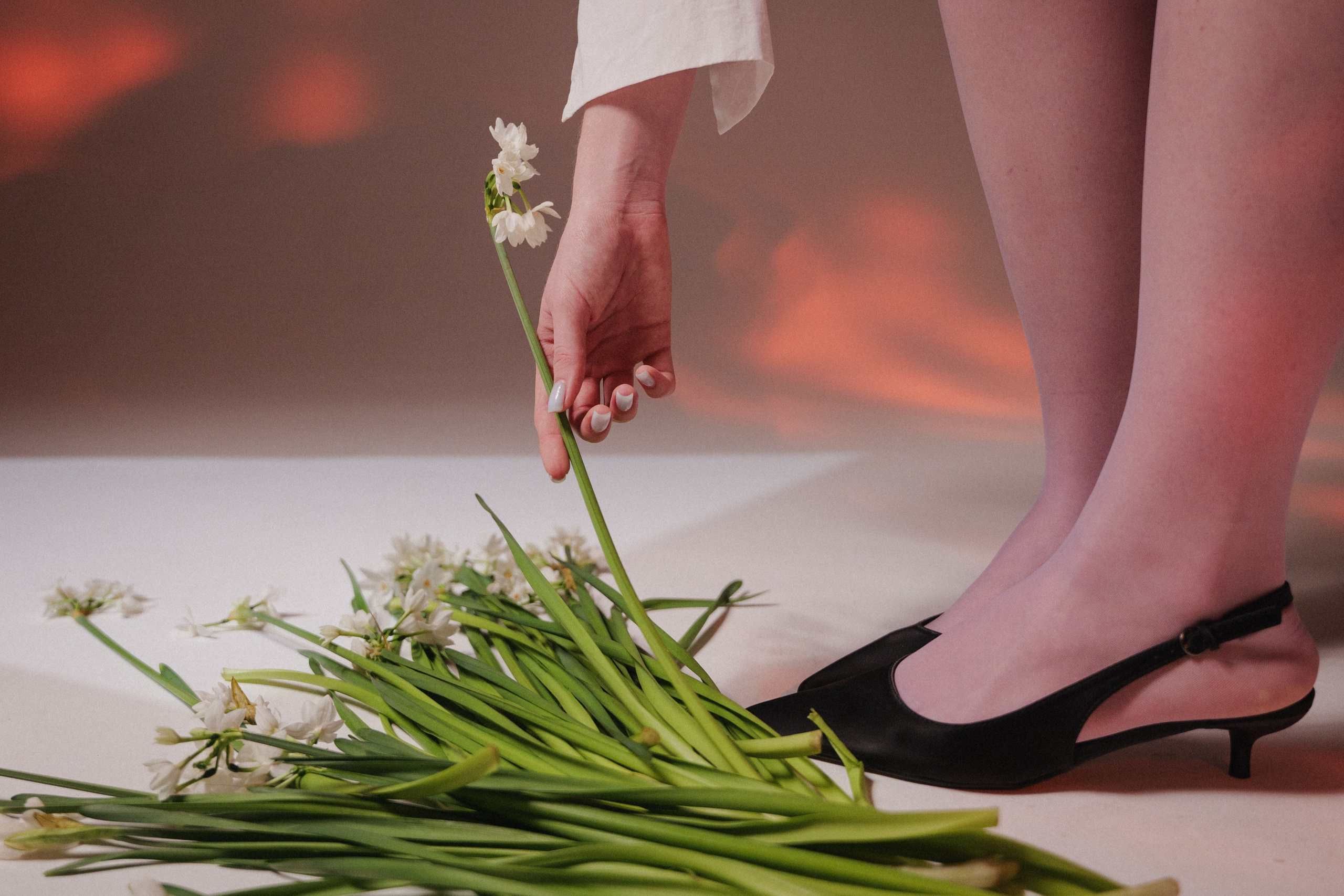 Aquarelle. F11 production