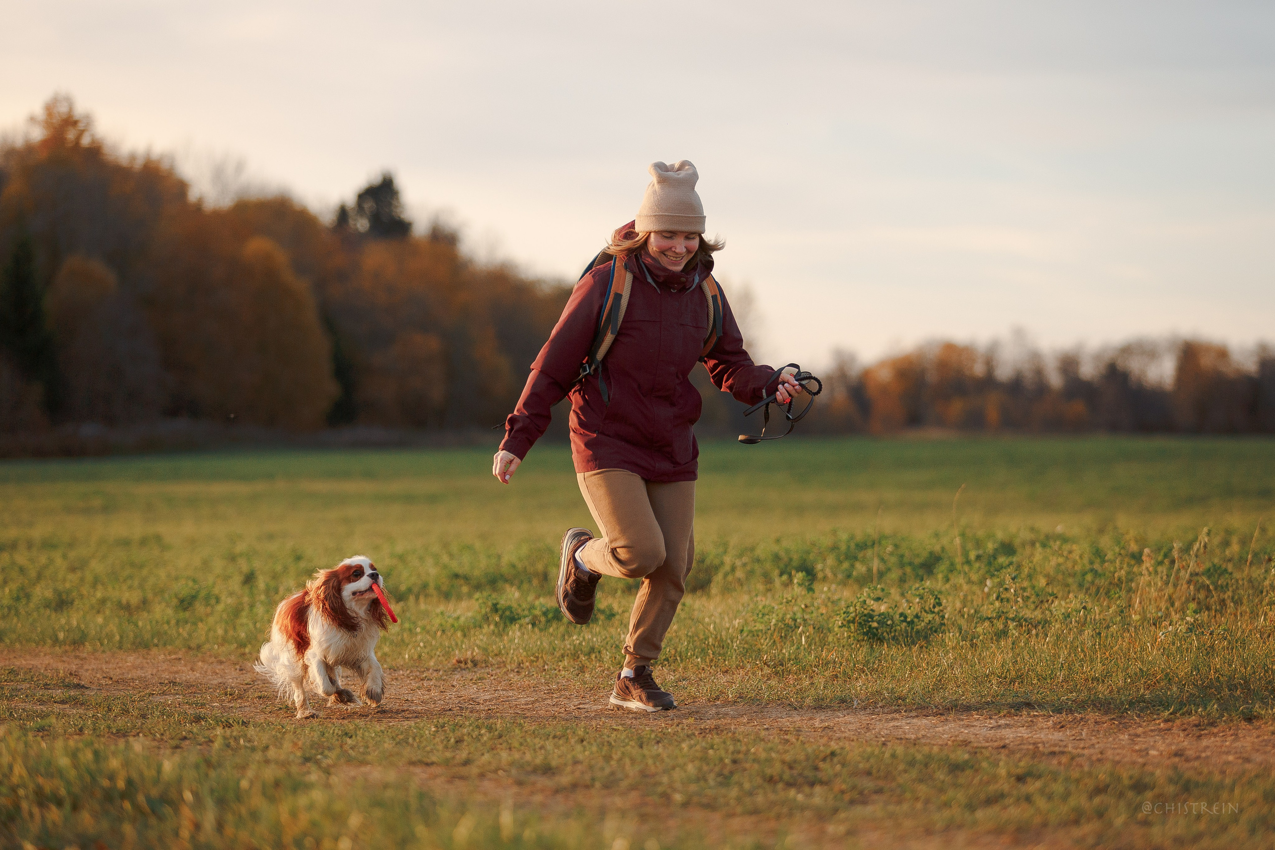 Октябрьский закат в полях. Алина и Лео. Фотограф-анималист Наталия Чистюхина в г. Сосновый Бор и ЛО