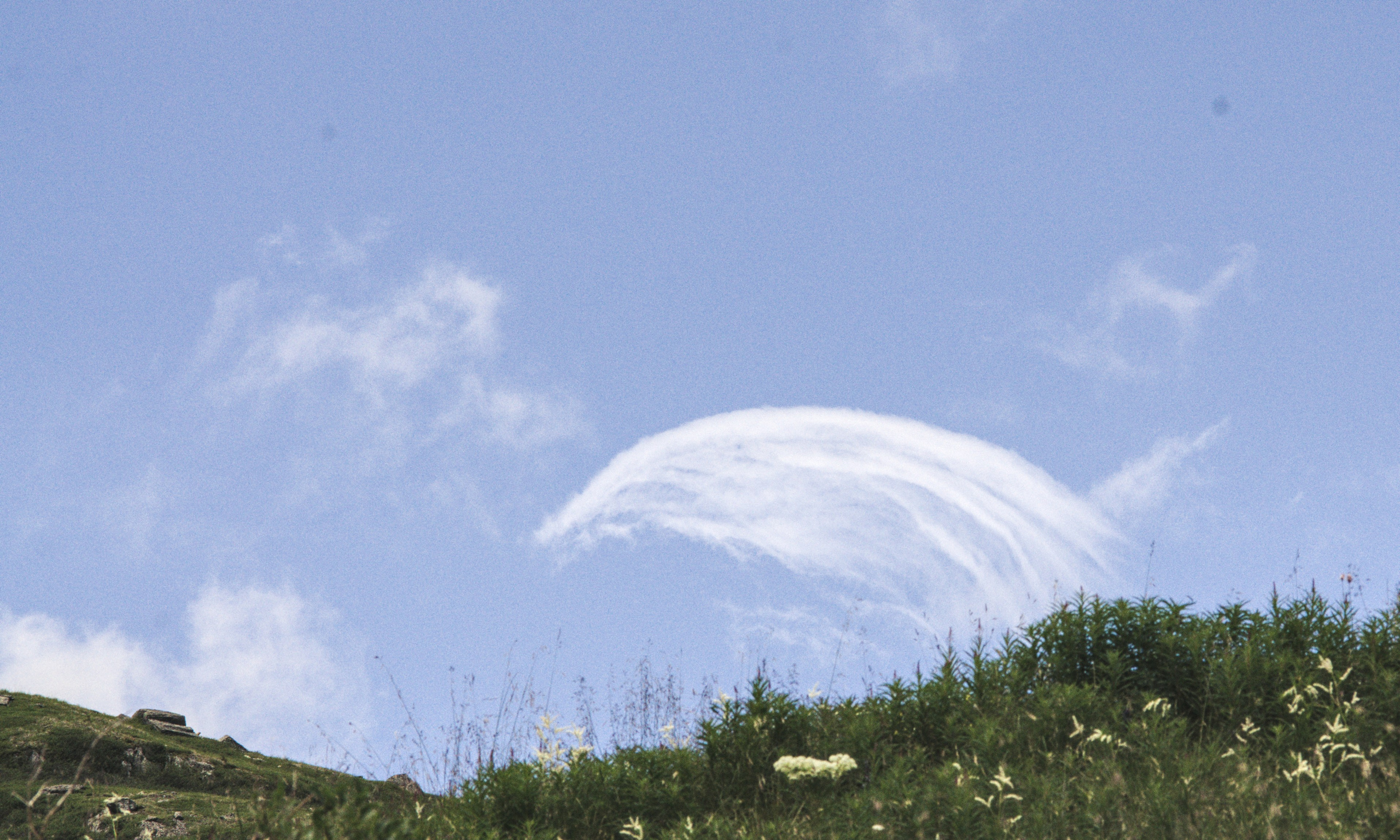 Алтай. Фотограф анималист, пейзажист, спортивные мероприятия. Новосибирск