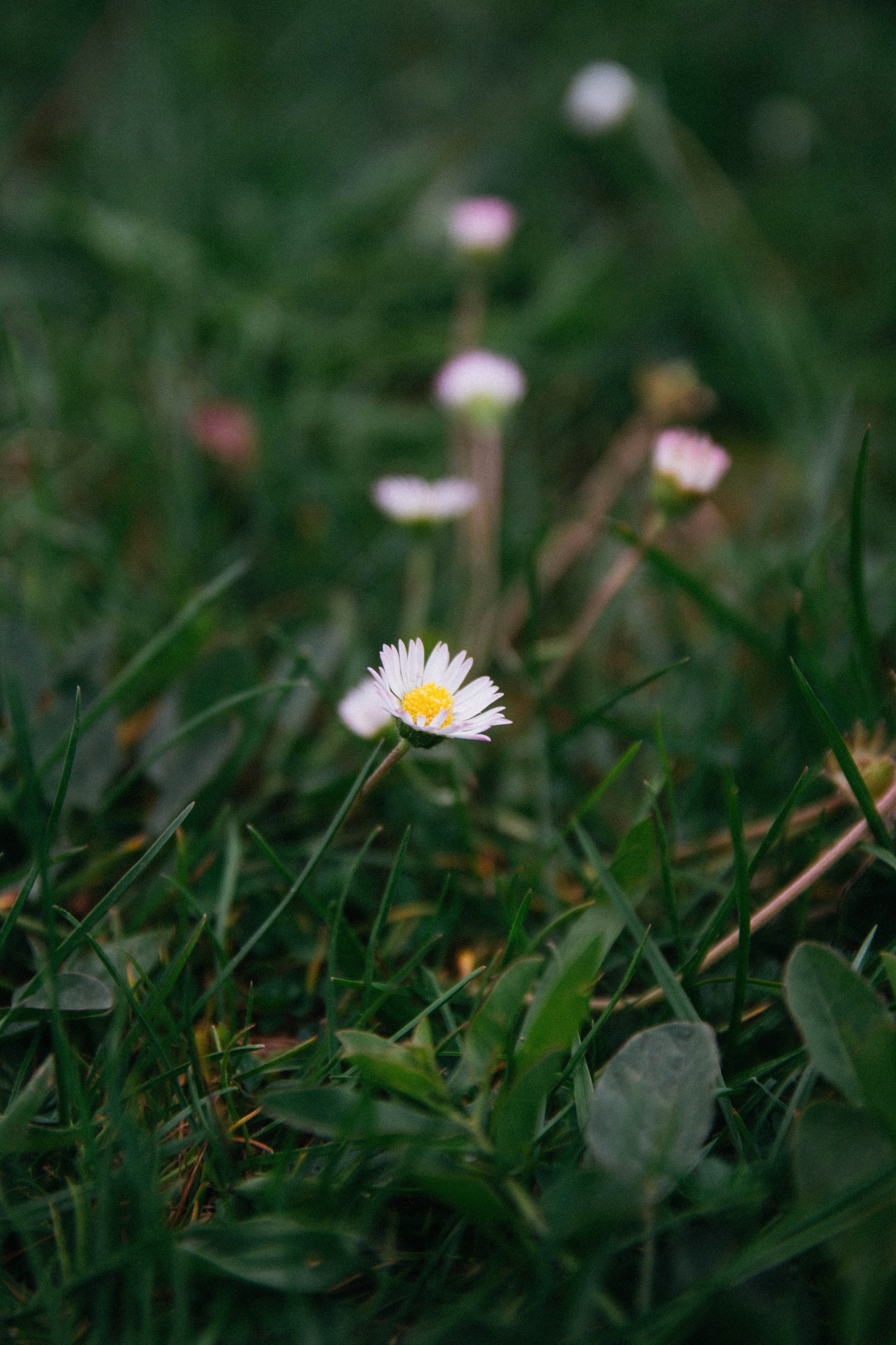 2. Семейный и свадебный фотограф в Краснодаре