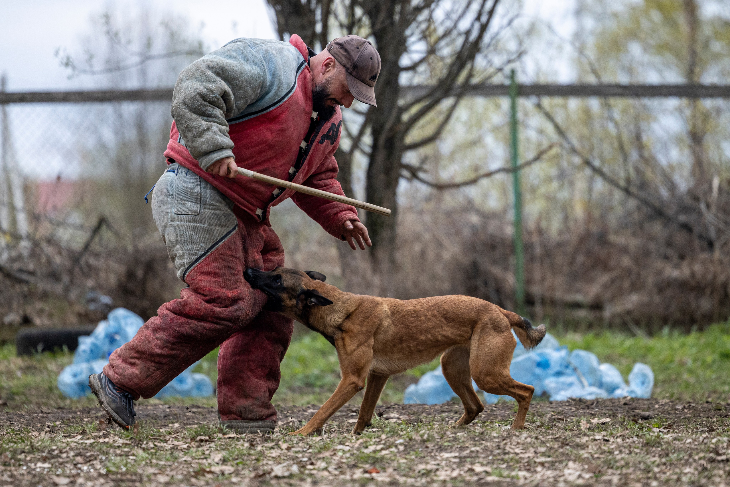 Квалификационные состязания по мондьорингу г. Вологда 11.05.24. Фотограф-анималист Анна Маринич