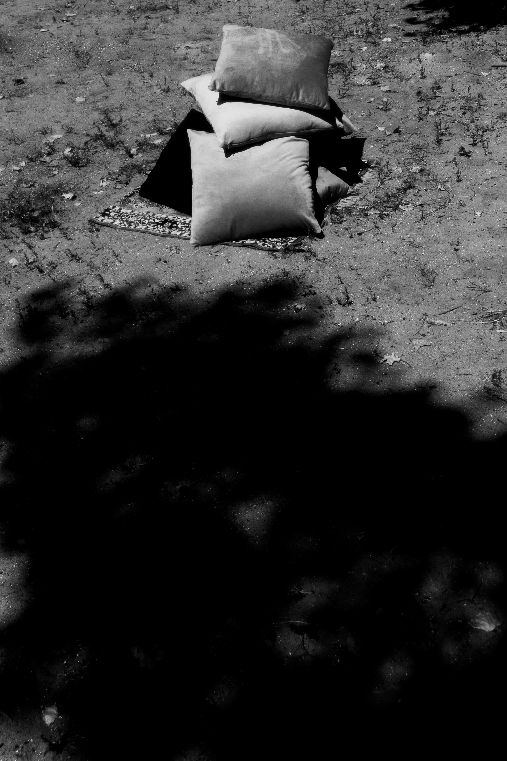 Reportage. Photographer Mary Matveenko