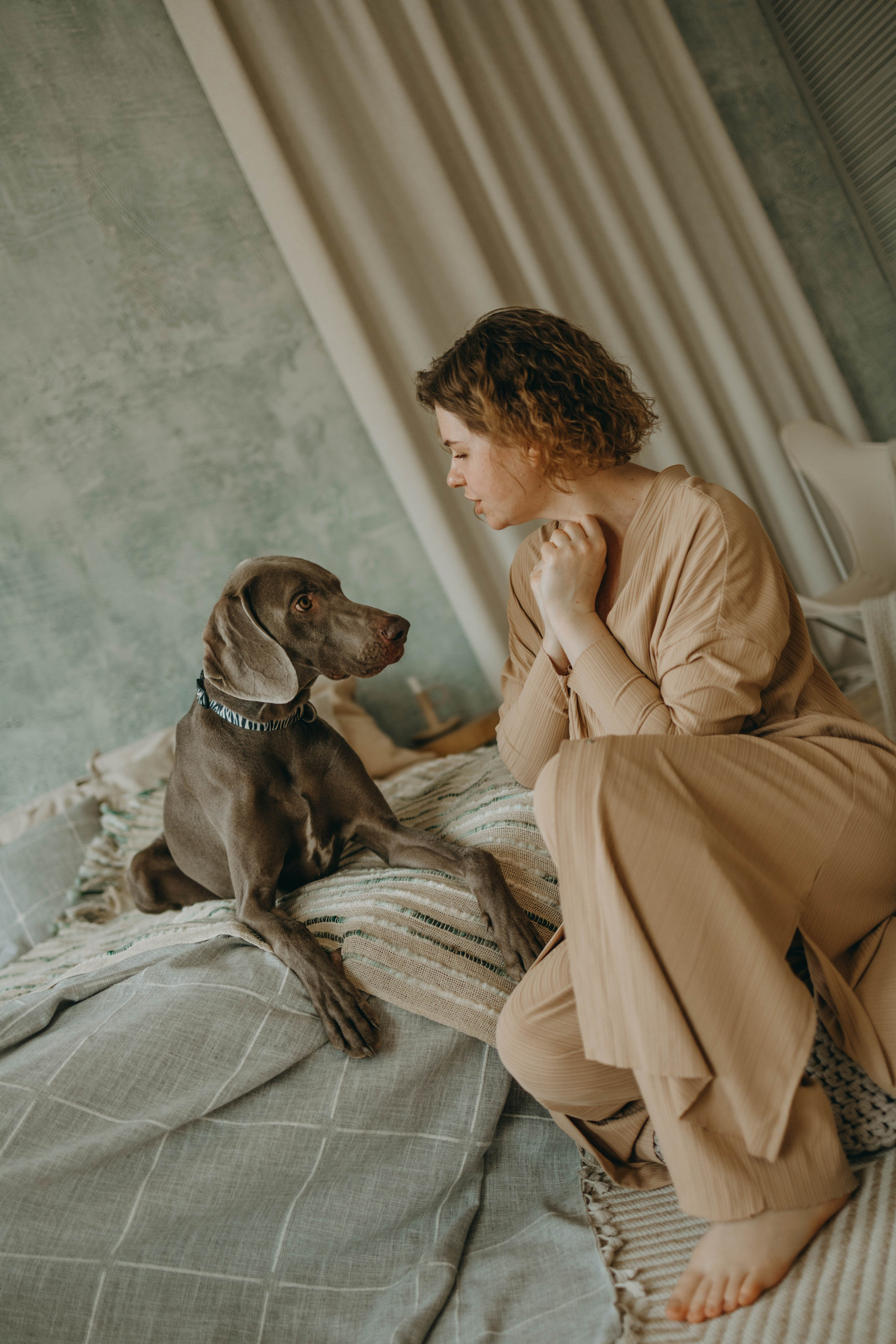 Фотосессия в студии с собакой. Фотограф-анималист в Екатеринбурге | Кристина