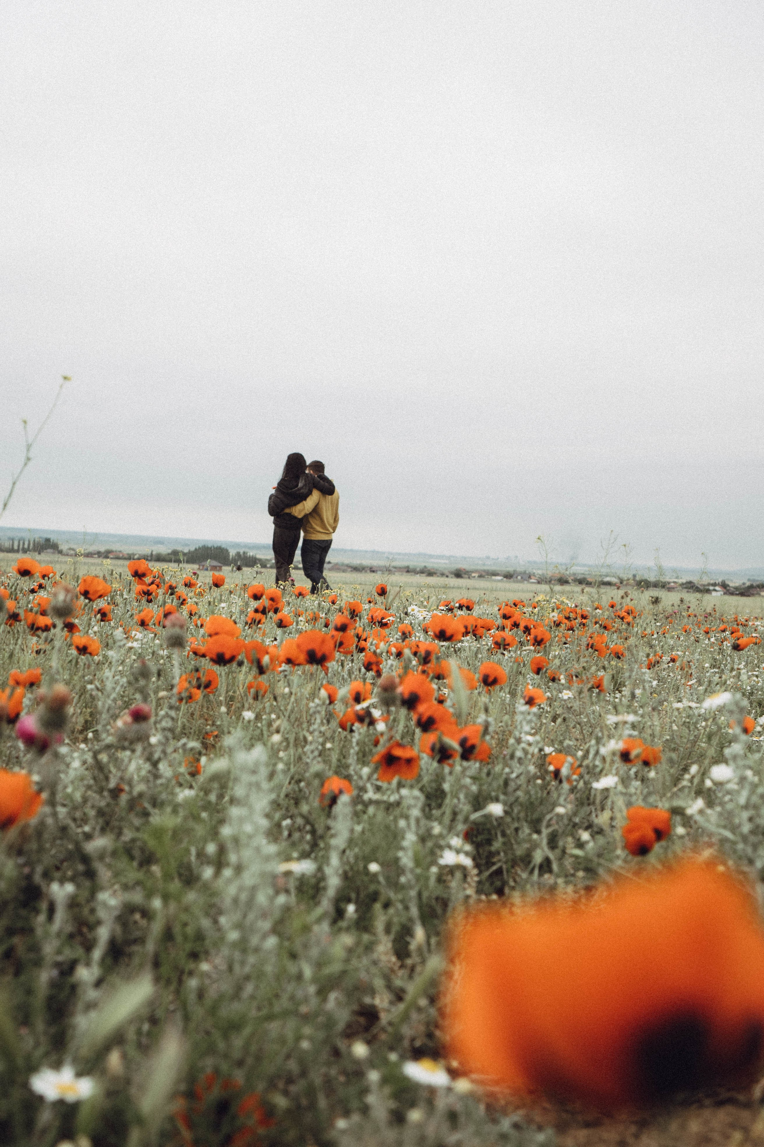 Любовь в маковом поле. Профессиональный фотограф, Санкт-Петербург — Виктория Богомолова