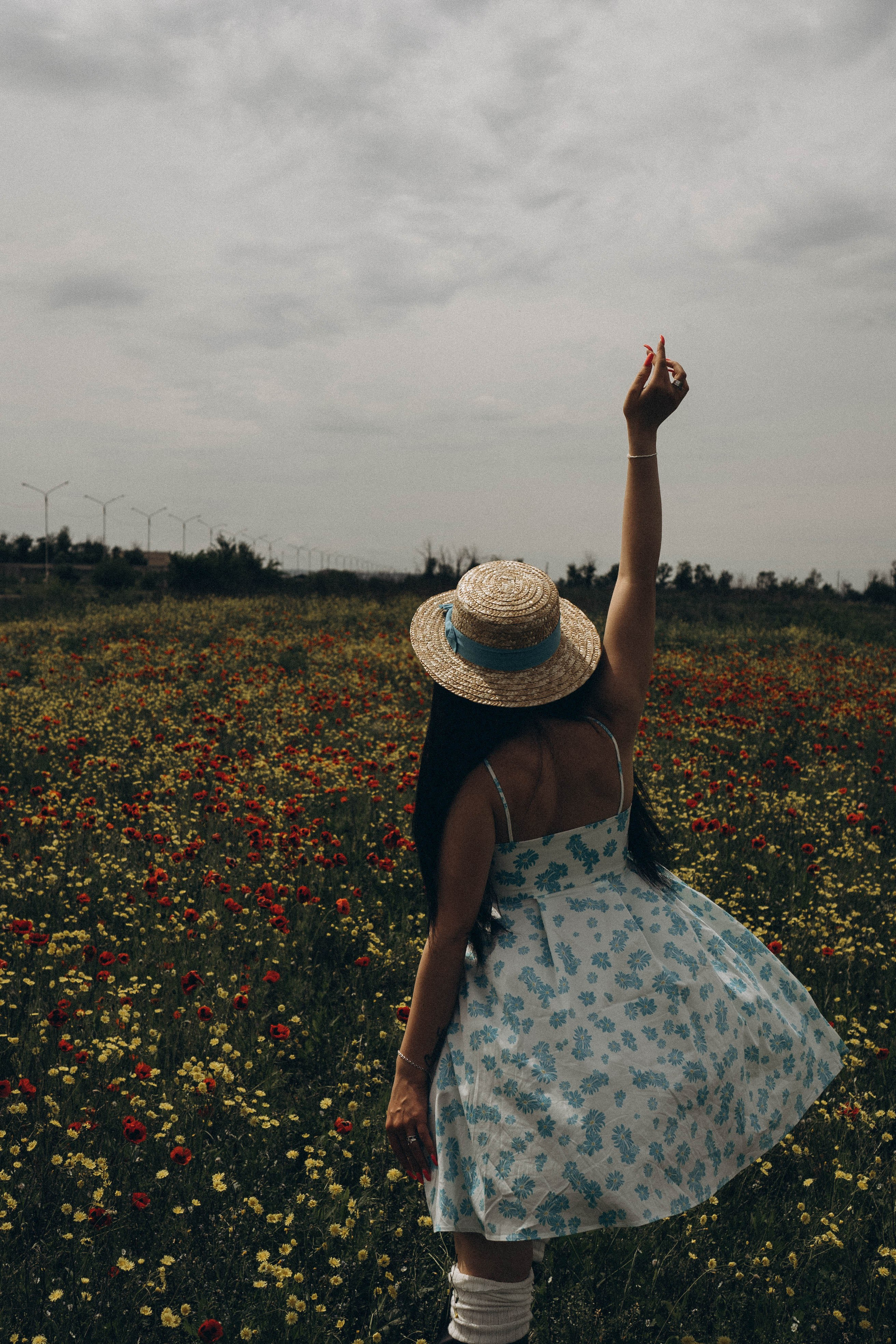 Цветочная поляна. Профессиональный фотограф, Санкт-Петербург — Виктория Богомолова