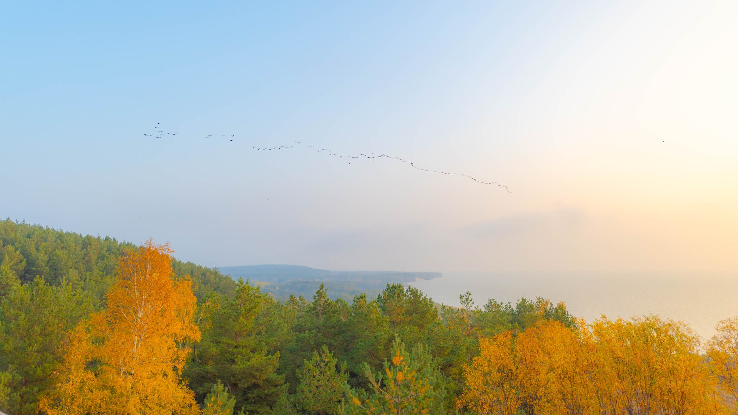 2024 10 Зеленоградск, Светлогорск, Куршская коса. Фотографии