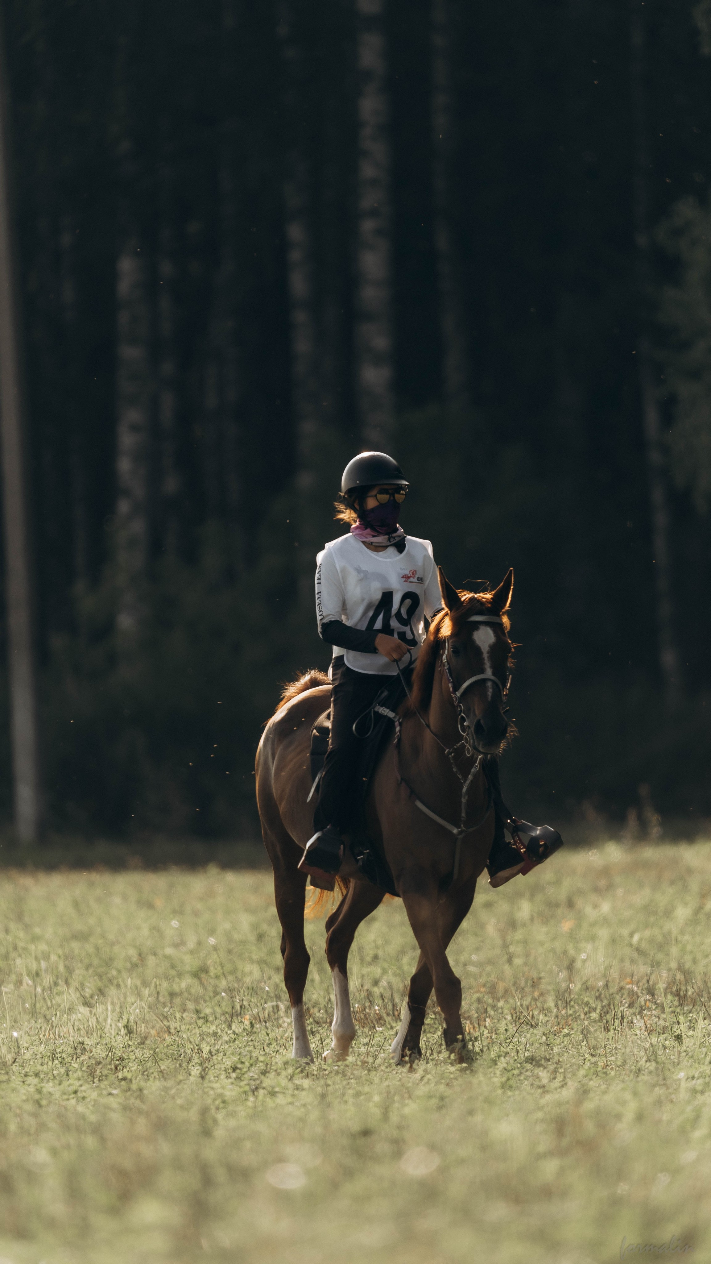 День Коня. Алиса Никитцова | Фотограф в Казани