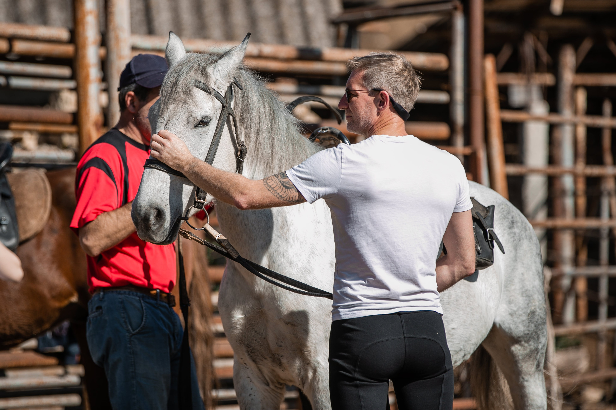 Фототуры в Карачаево-Черкессии 2019-2020. Фотограф-анималист Ксендзова Кристина