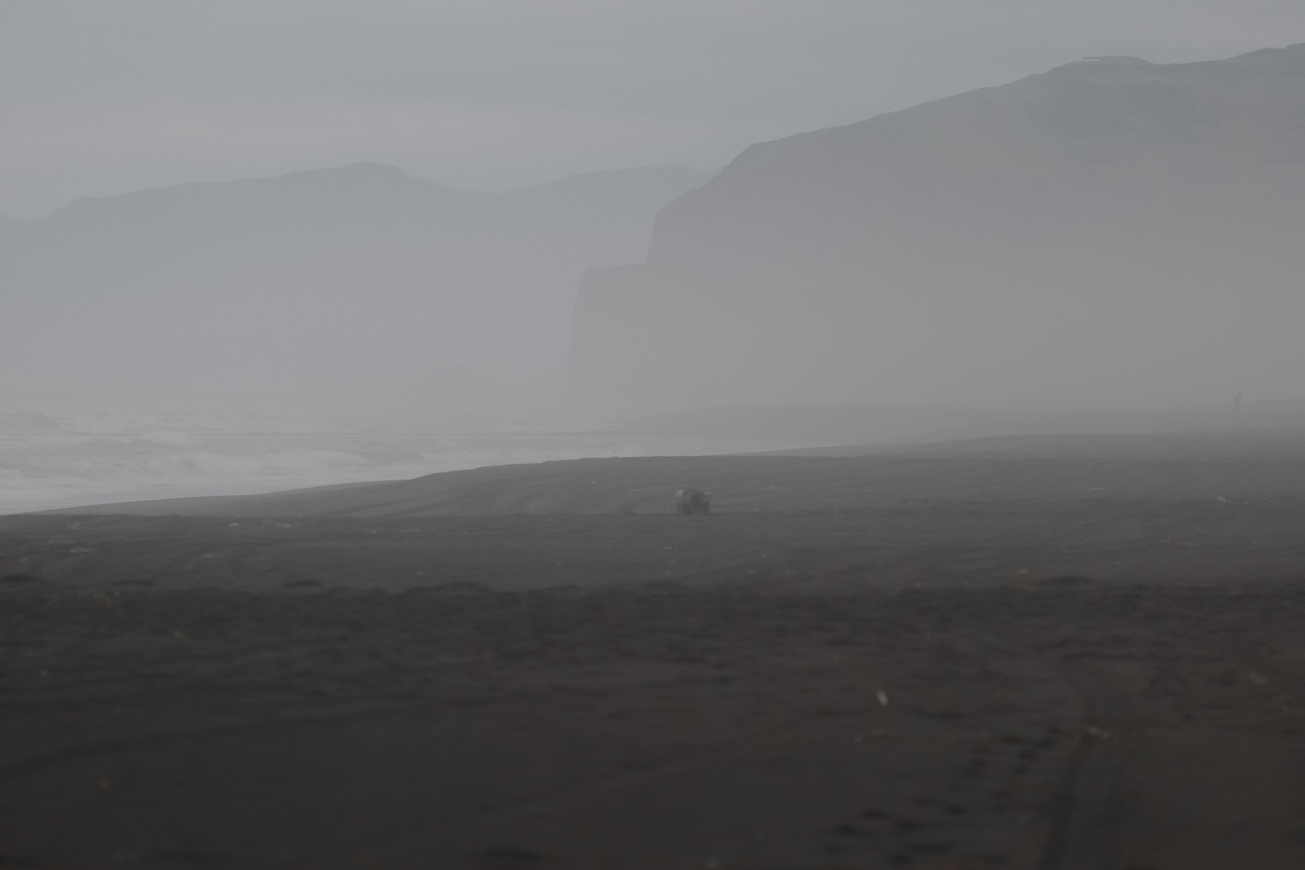 ЛЮБОВЬ НА БЕРЕГУ ОКЕАНА  FUJIFILM. Профессиональный фотограф, Санкт-Петербург — Виктория Богомолова