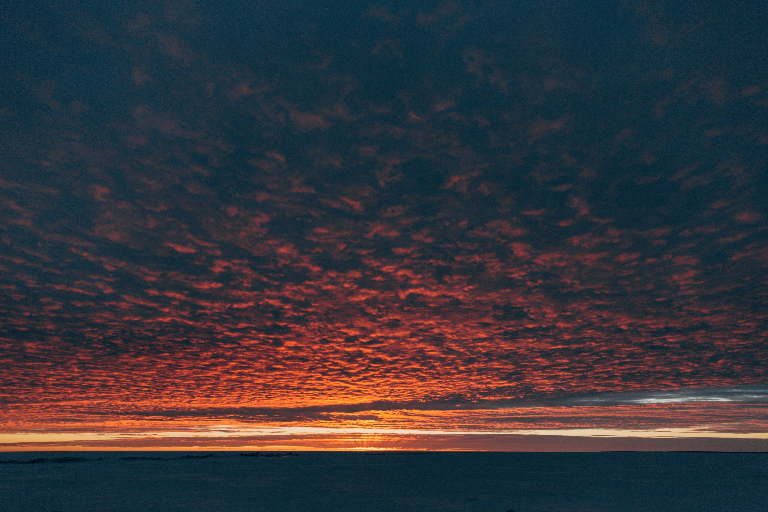 Идеи для фотосессии в СПб: Финский залив на закате (портреты)