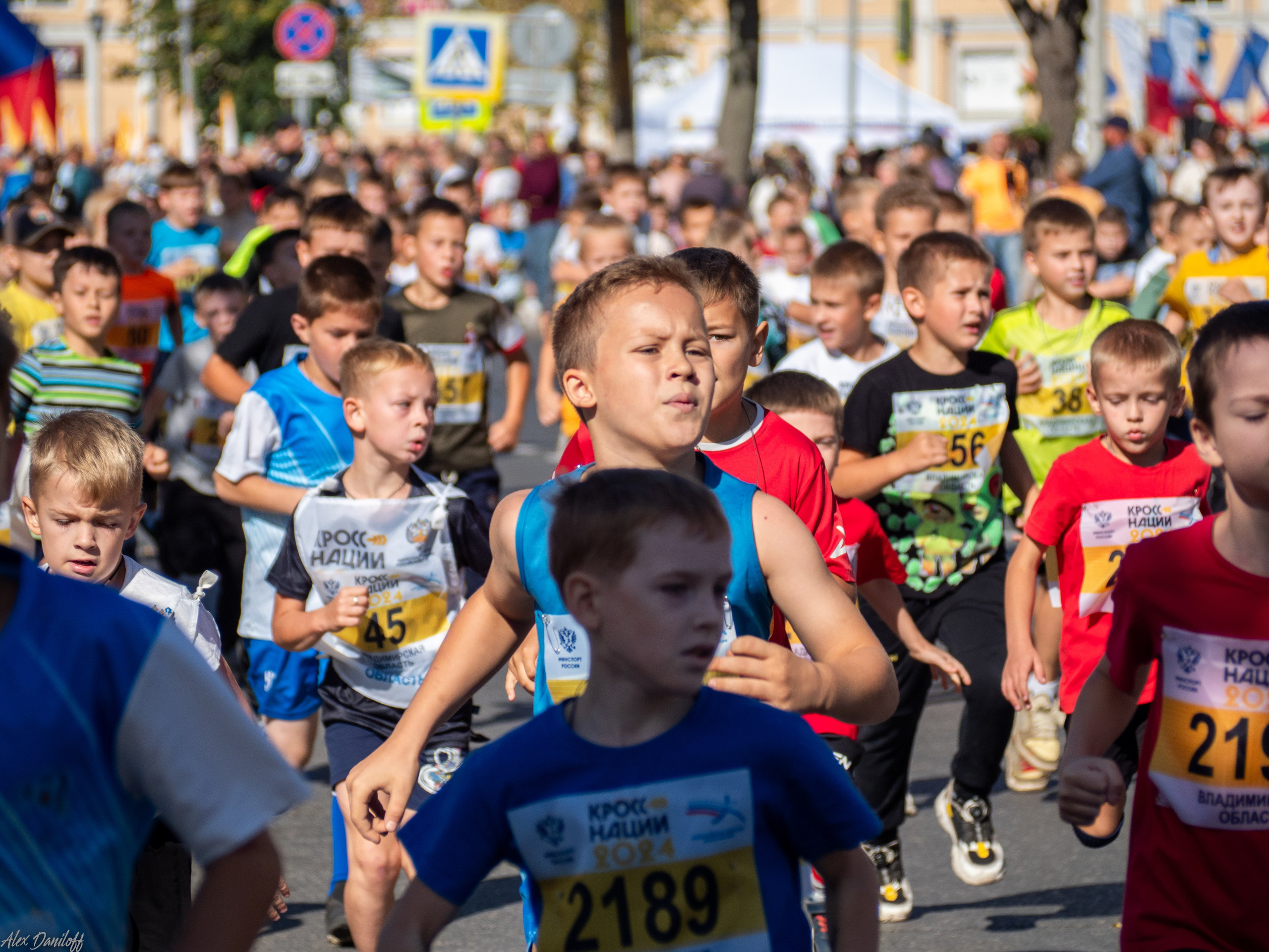 Кросс нации 2024. Муром-Инфо. Новости культуры, образования, спорта в городе Муром