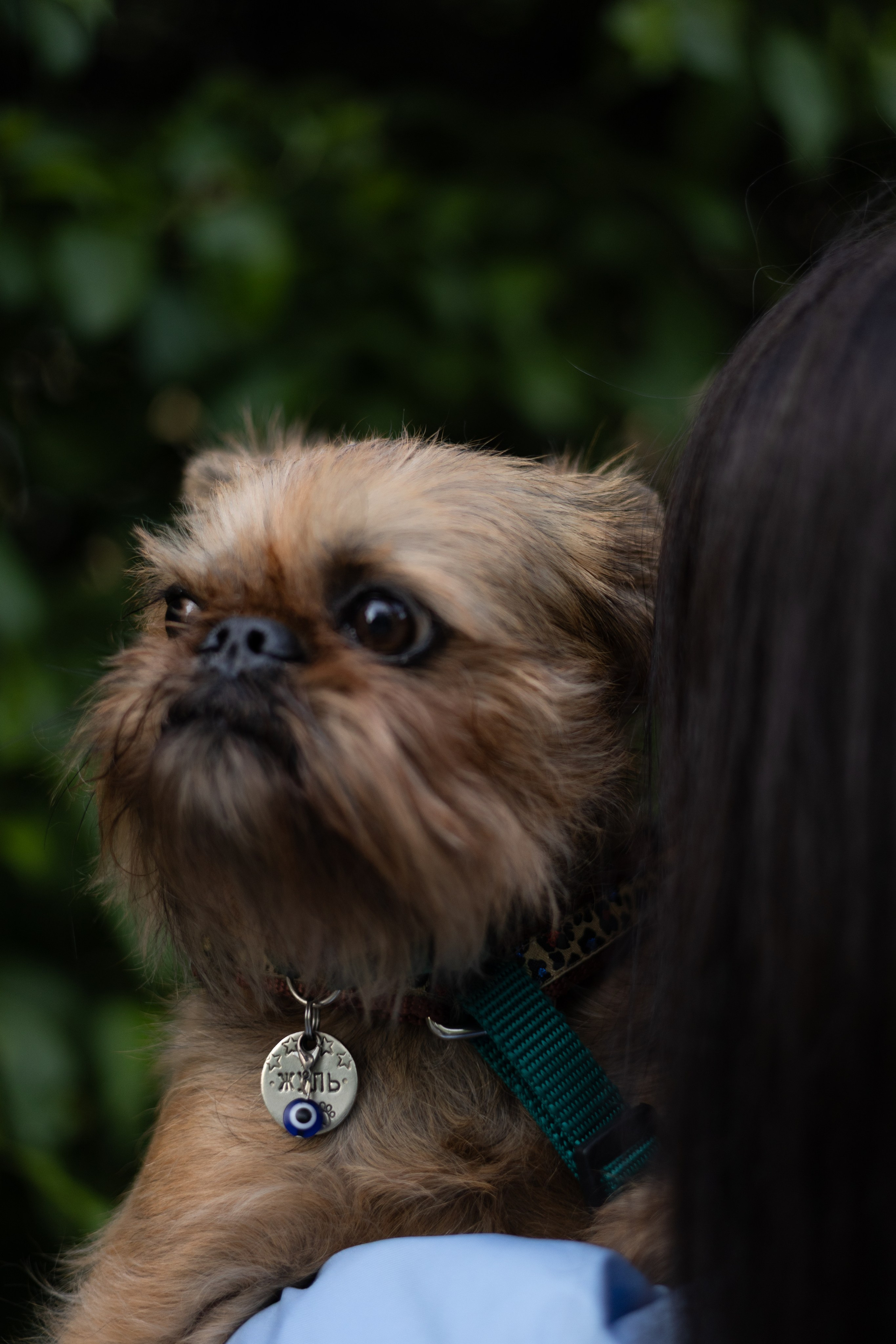 Екатерина и Жуль. Фотограф животных Евгения Верцинская