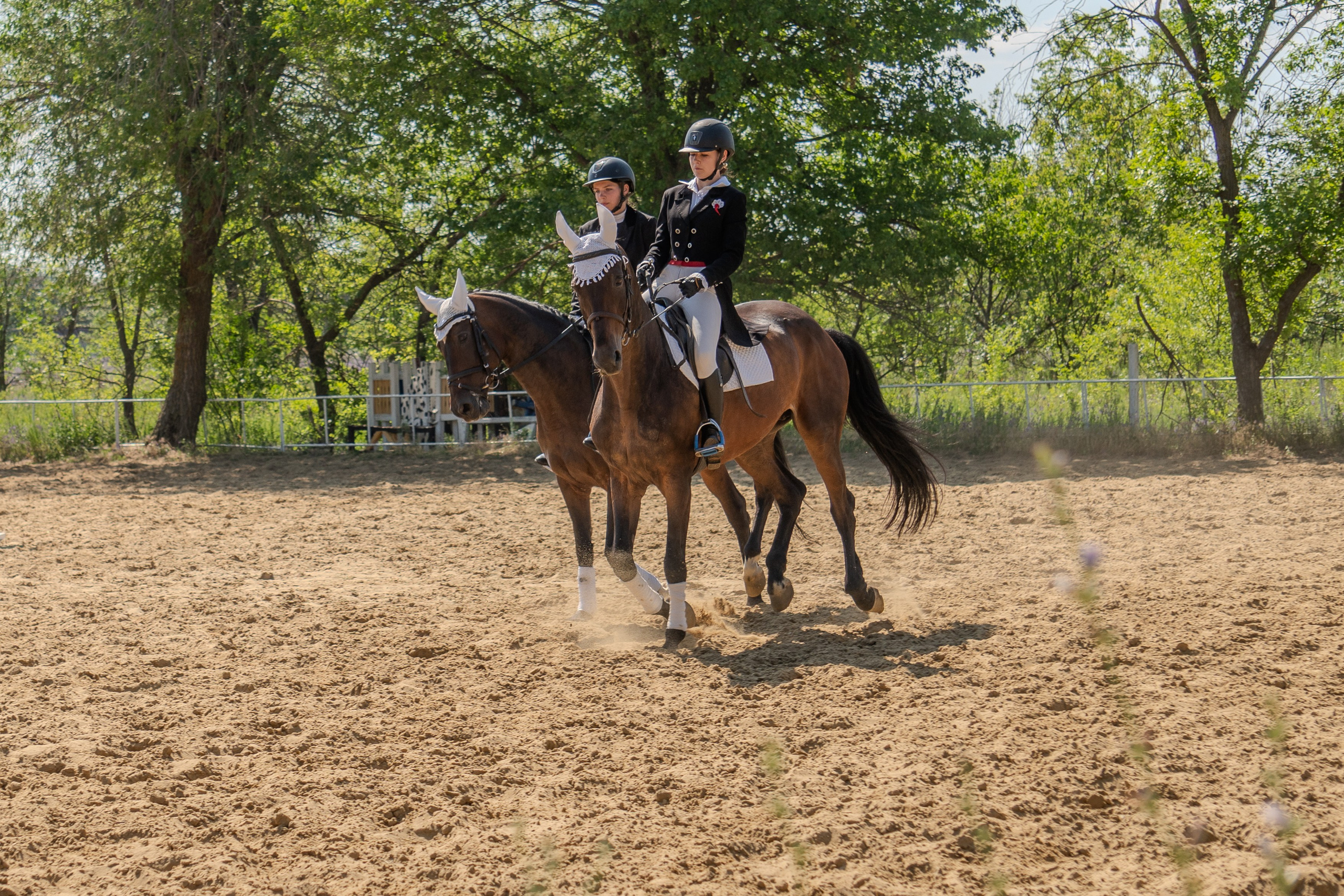 Соревнования по конкуру, Луганск. Фотограф в РФ и ЛНР Юлия Федосеева