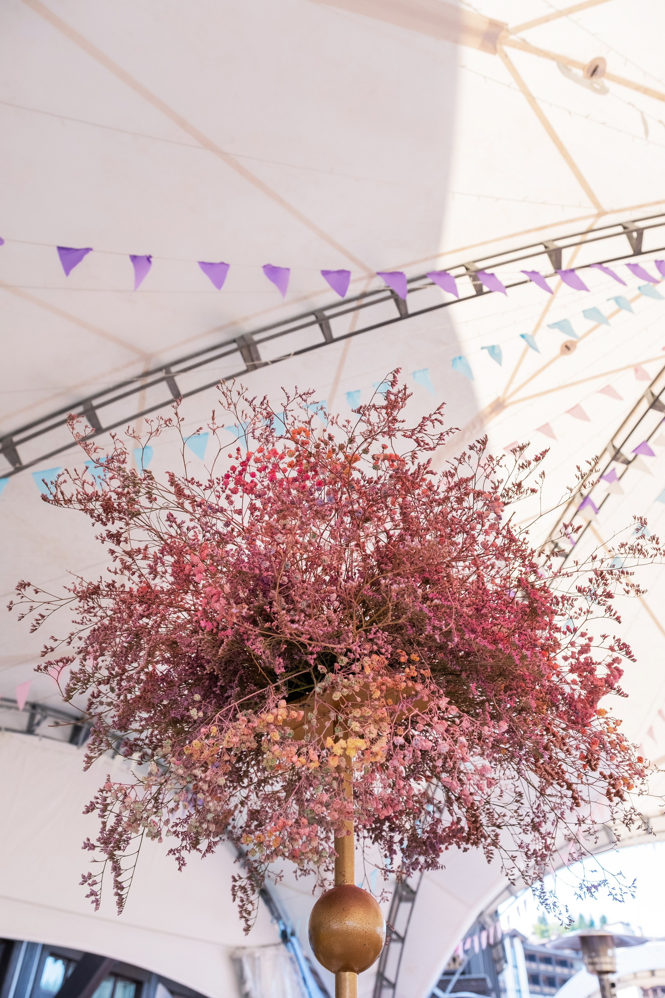 Фестиваль чувств. Свадебный Видеограф Фотограф в Сочи